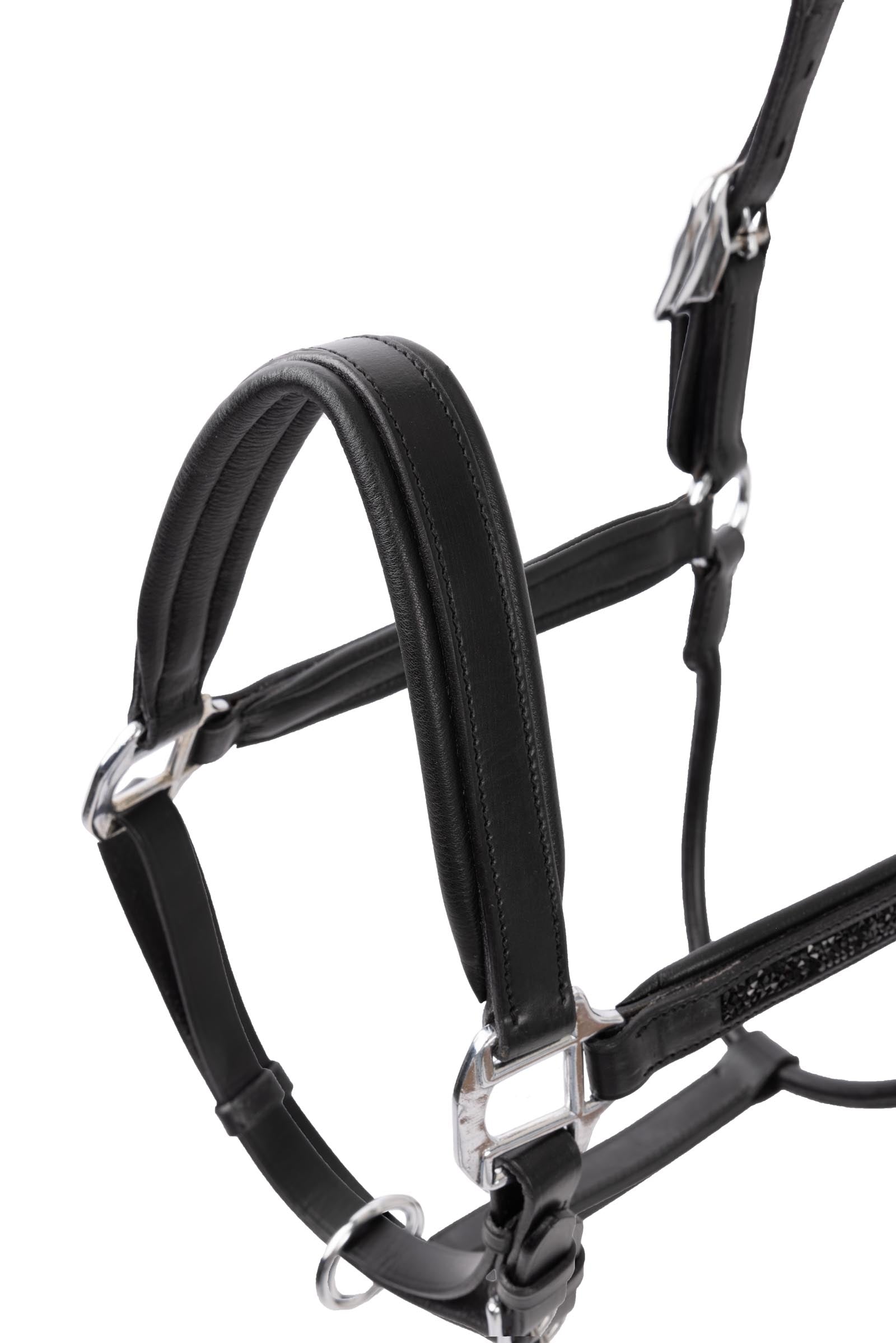 Horze Delémont Leather halter Halters & Leads