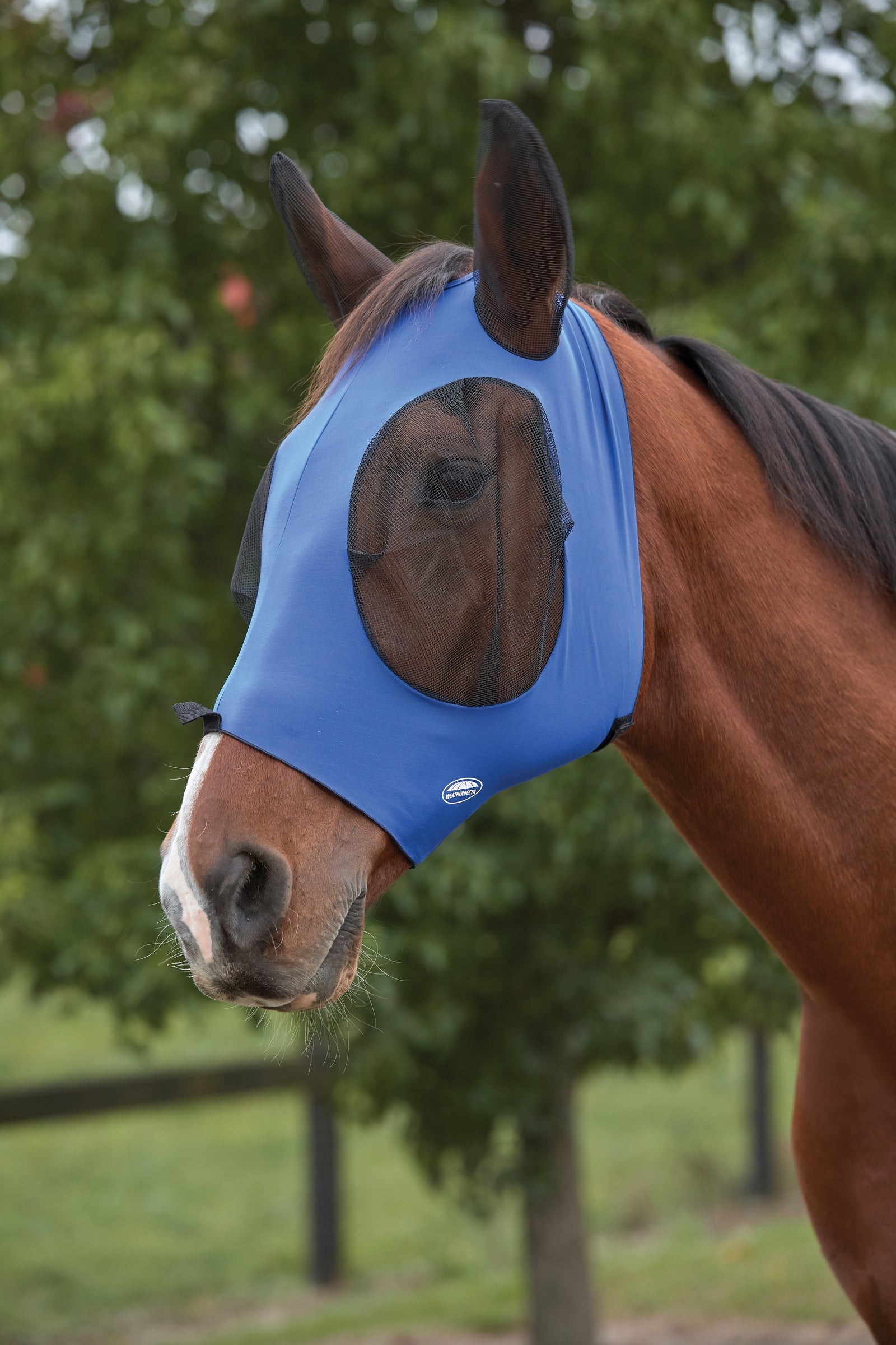 Weatherbeeta Deluxe  Stretch Bug Eye Saver with Ears Antifly Protection for Horses