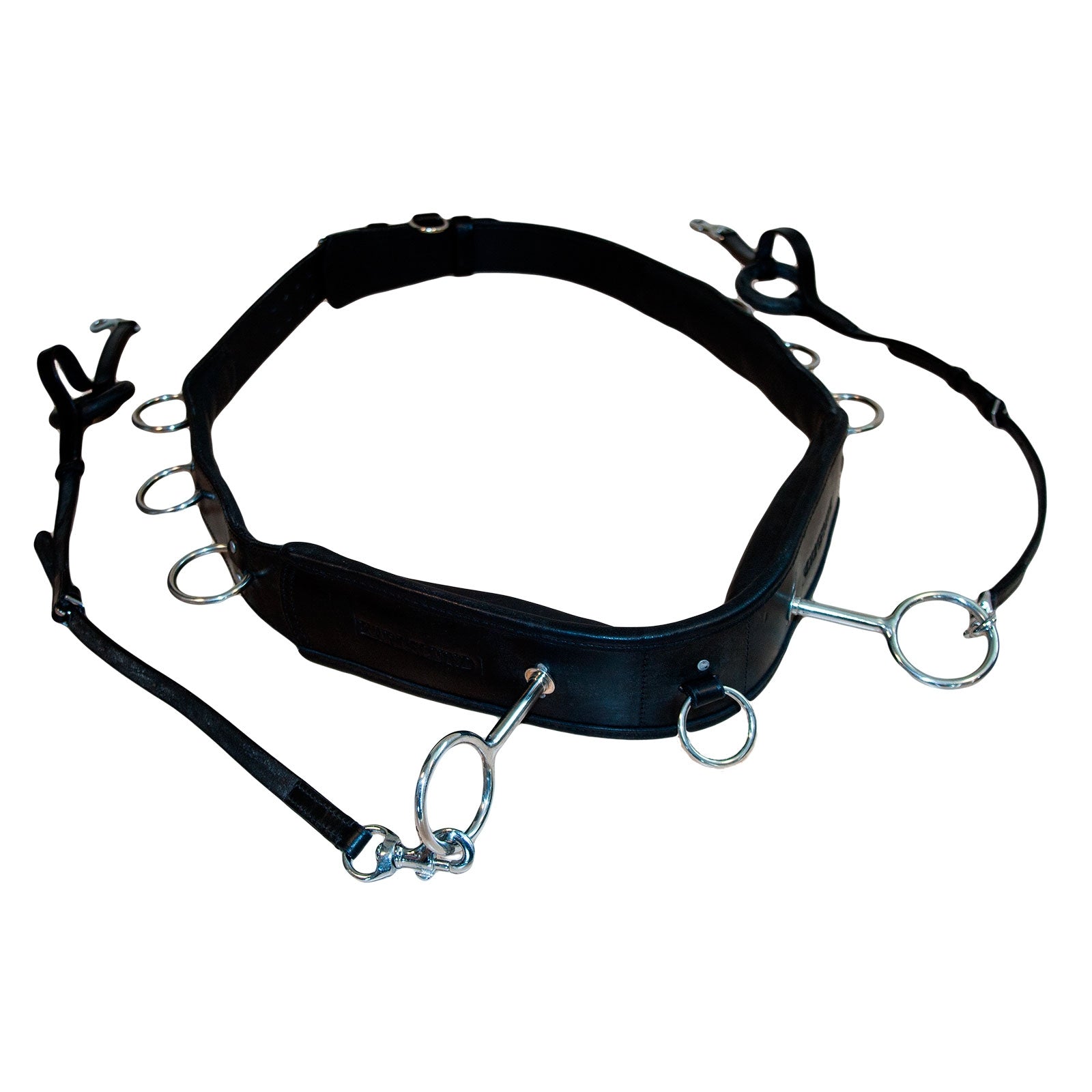 Karlslund Lunging girth Horse Training