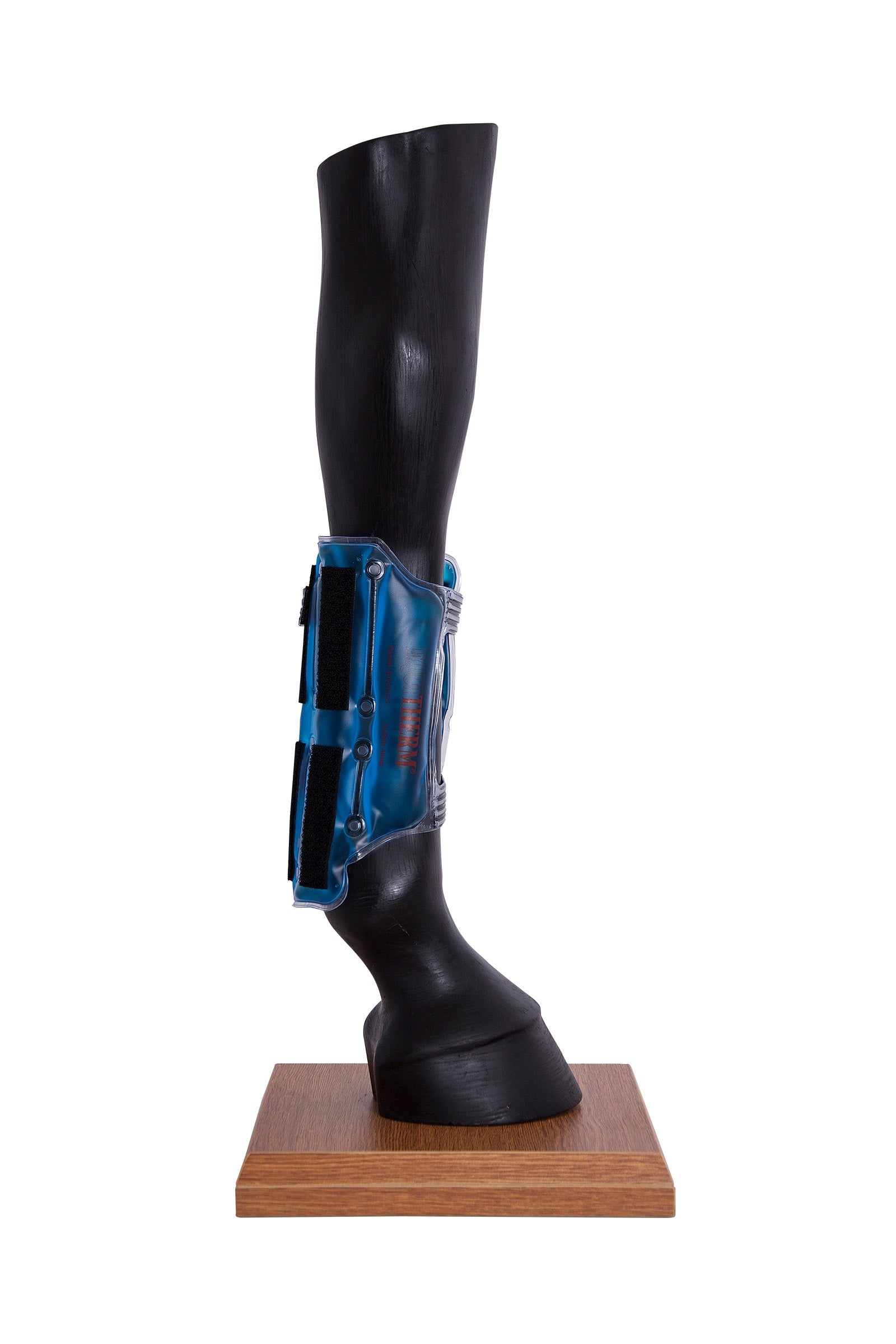 Stassek Equitherm Thermo-Gamasche zum Kühlen und Wärmen Leg Protection & Hoof Protection for Horses