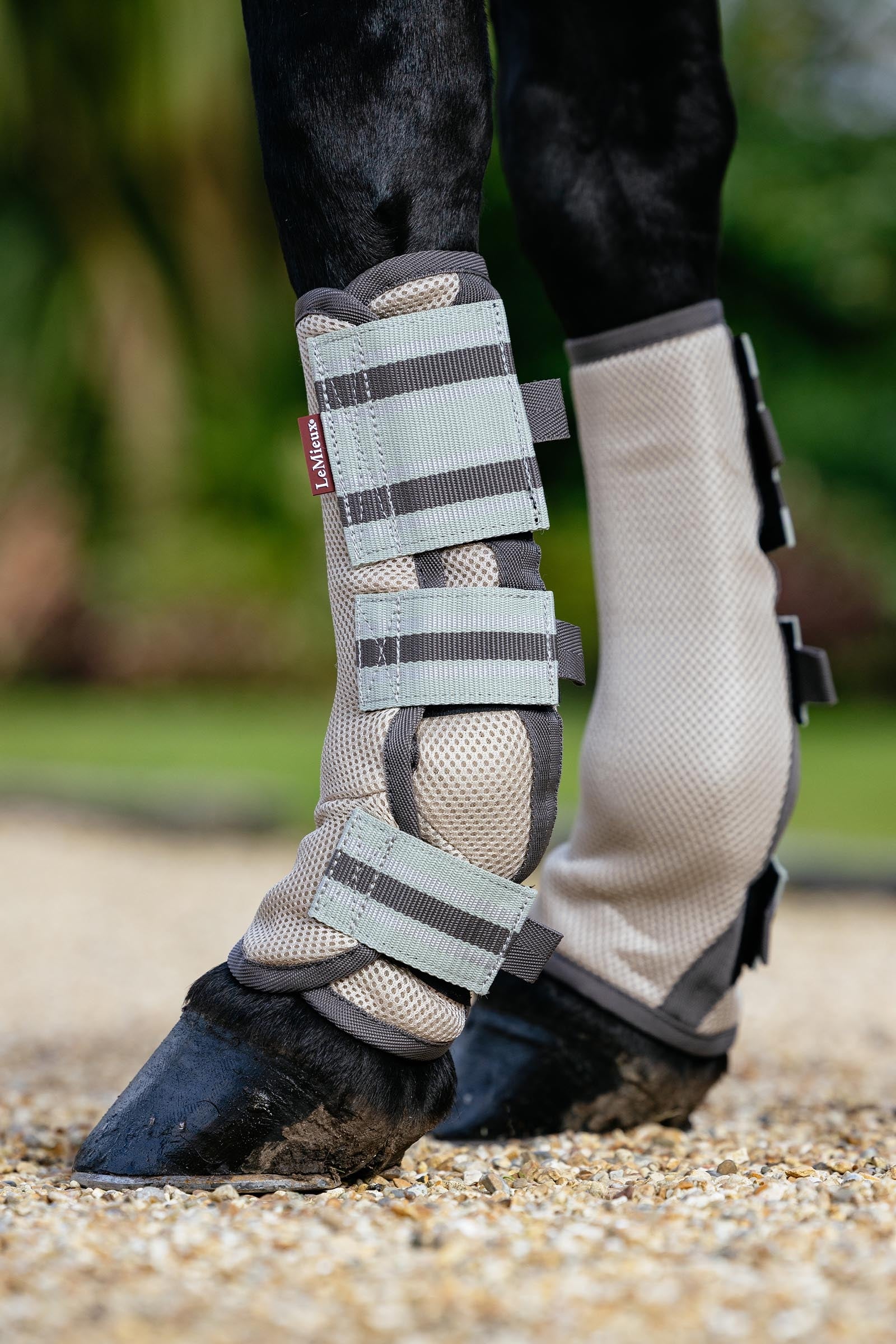 LeMieux Arika Mesh Fly Boots (Set of 4) Antifly Protection for Horses