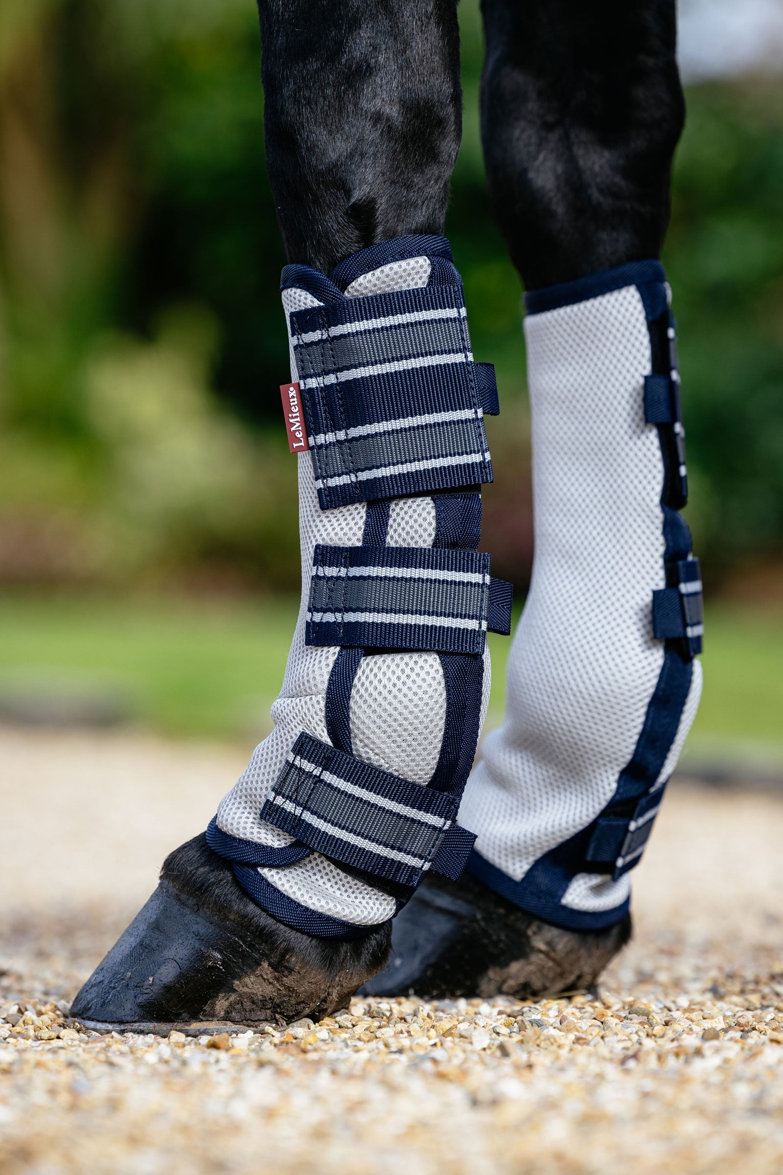 LeMieux Arika Mesh Fliegengamaschen Set 4 Stück Fliegenschutz