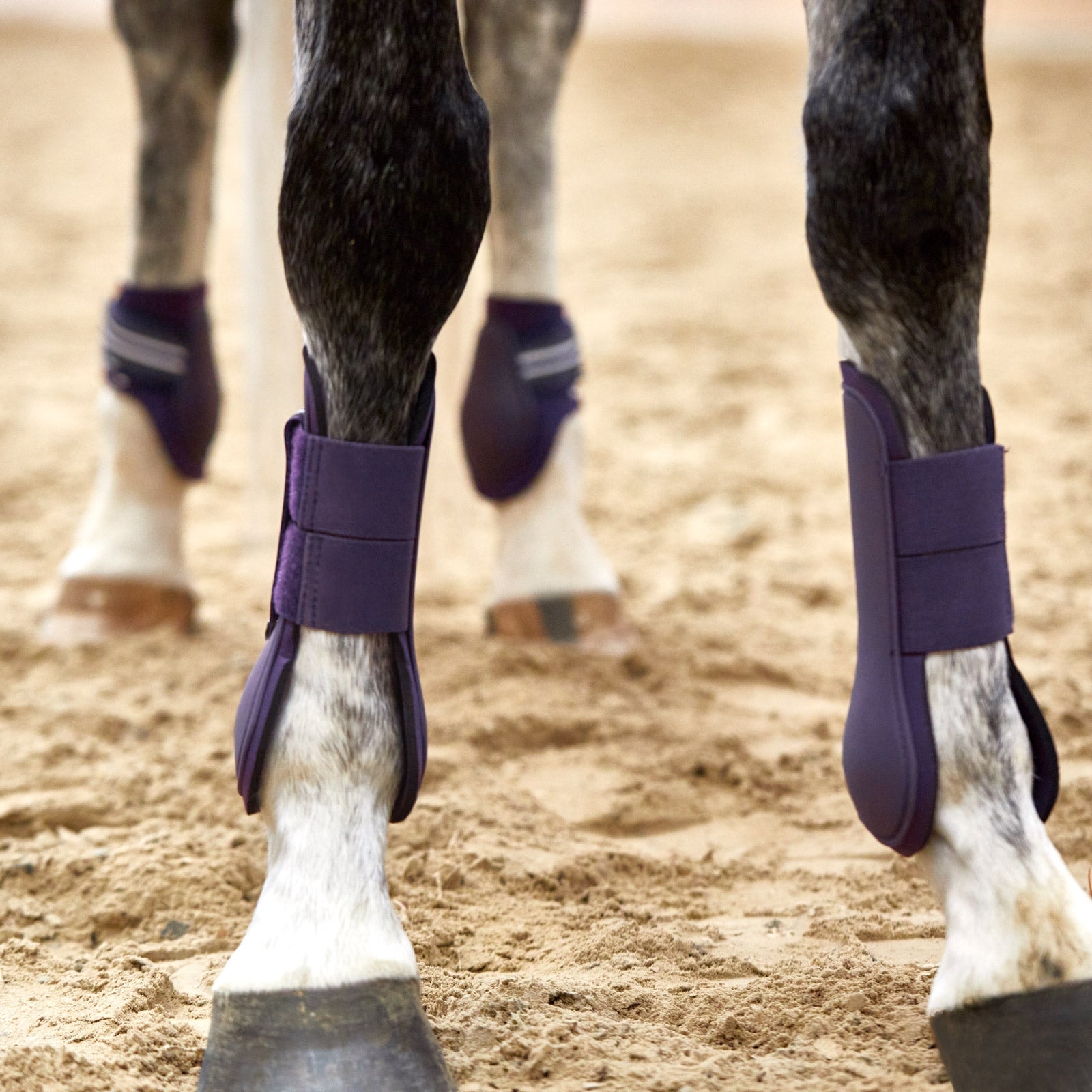 Horze Adepto Tendon Boots Leg Protection & Hoof Protection for Horses