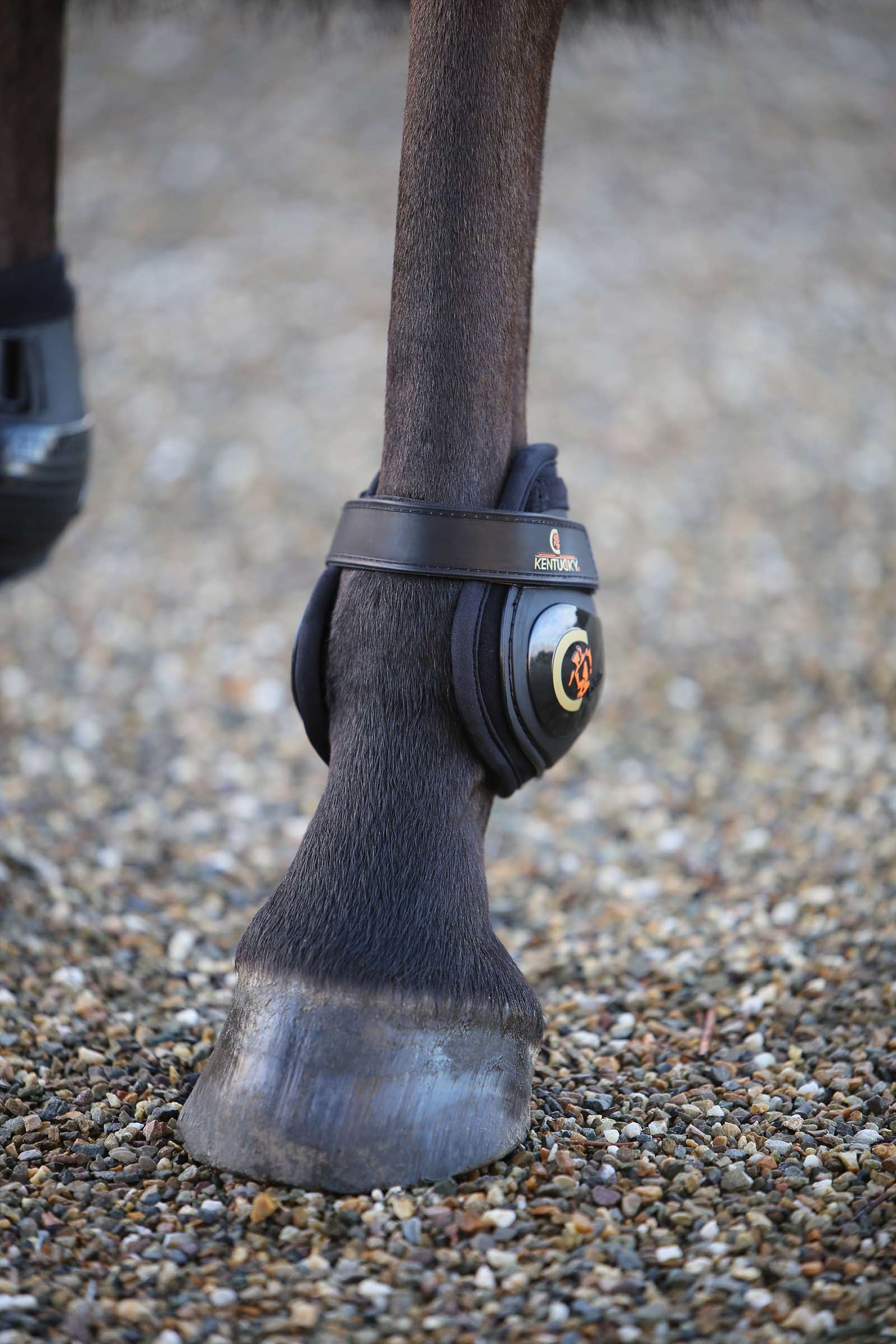 Kentucky Horsewear Moonboots, hind Leg & Hoof Protection