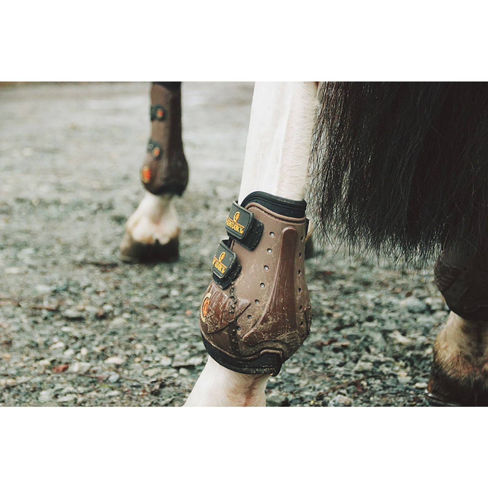 Kentucky Horsewear Armadillo Aero Moonboots Max Leg Protection & Hoof Protection for Horses