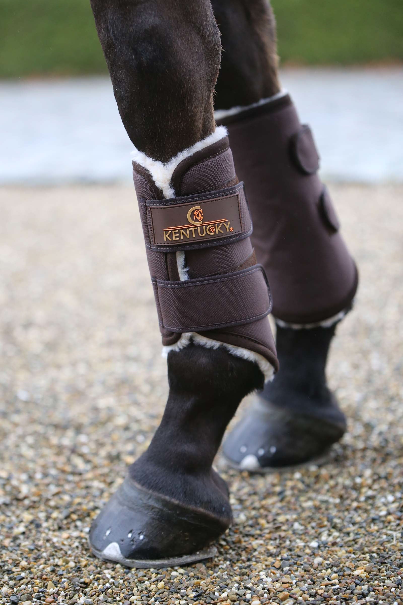 Kentucky Horsewear Solimbra Arbeitsgamaschen Vorne Leg Protection & Hoof Protection for Horses