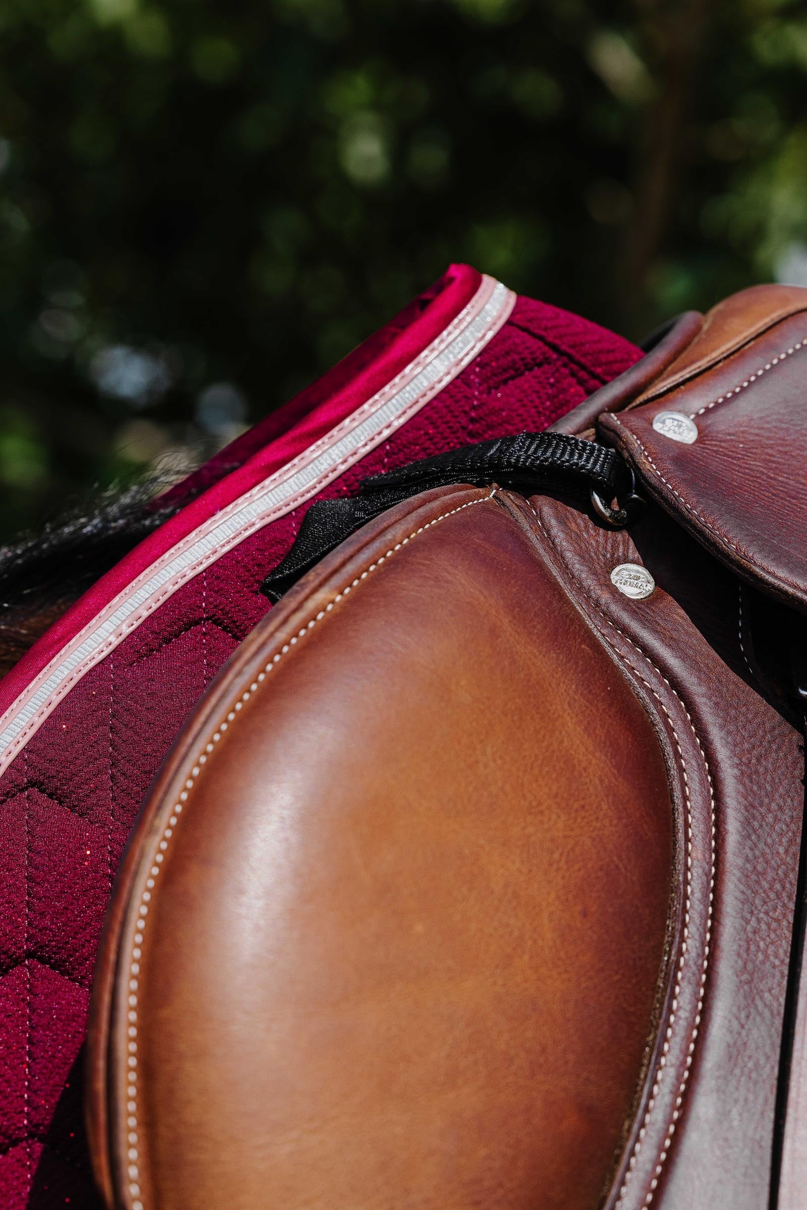 EQUITHÈME Eclat Saddle Pad Saddle Pads