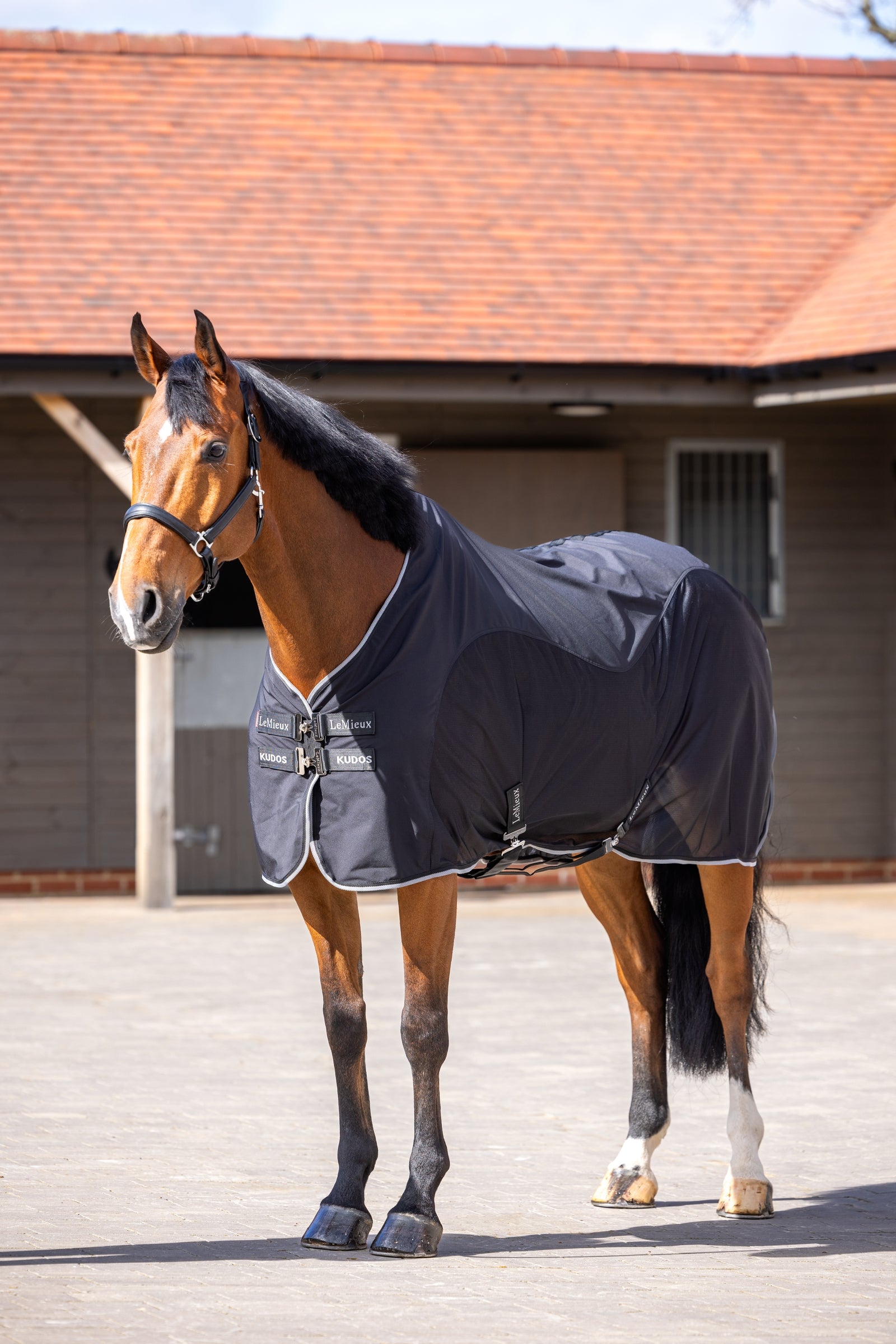 LeMieux Kudos Hybrid Cooler Horse Rugs