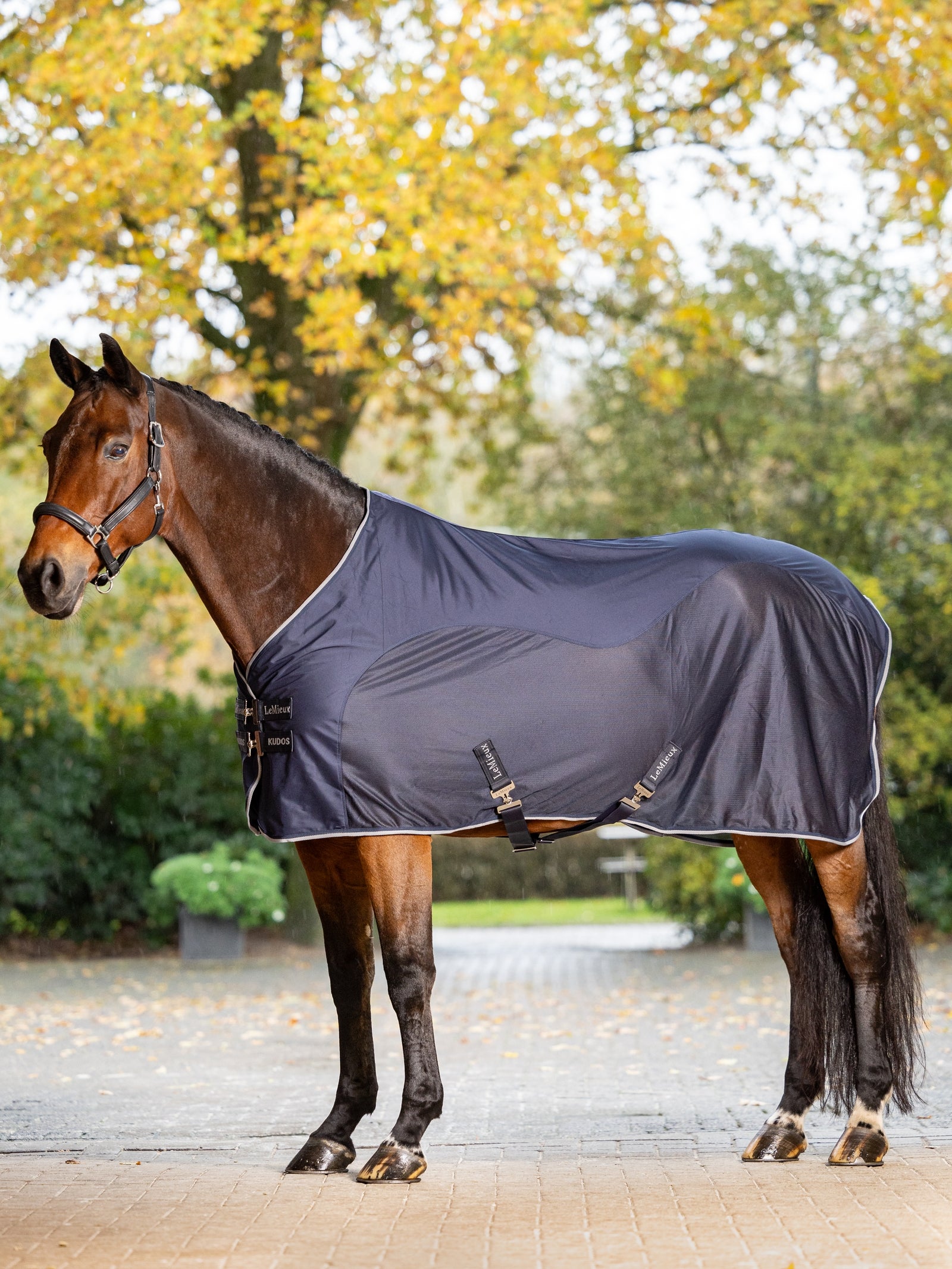 LeMieux Kudos Hybrid Cooler Pferdedecken