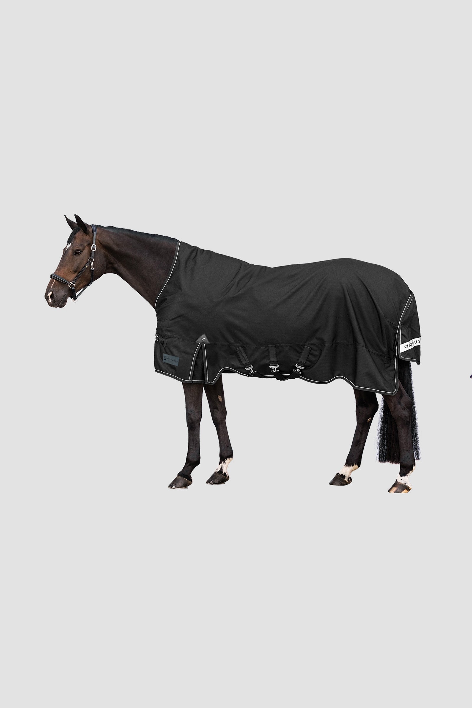 Waldhausen Outdoor Rug Scandic High Neck 100 g Pferdedecken