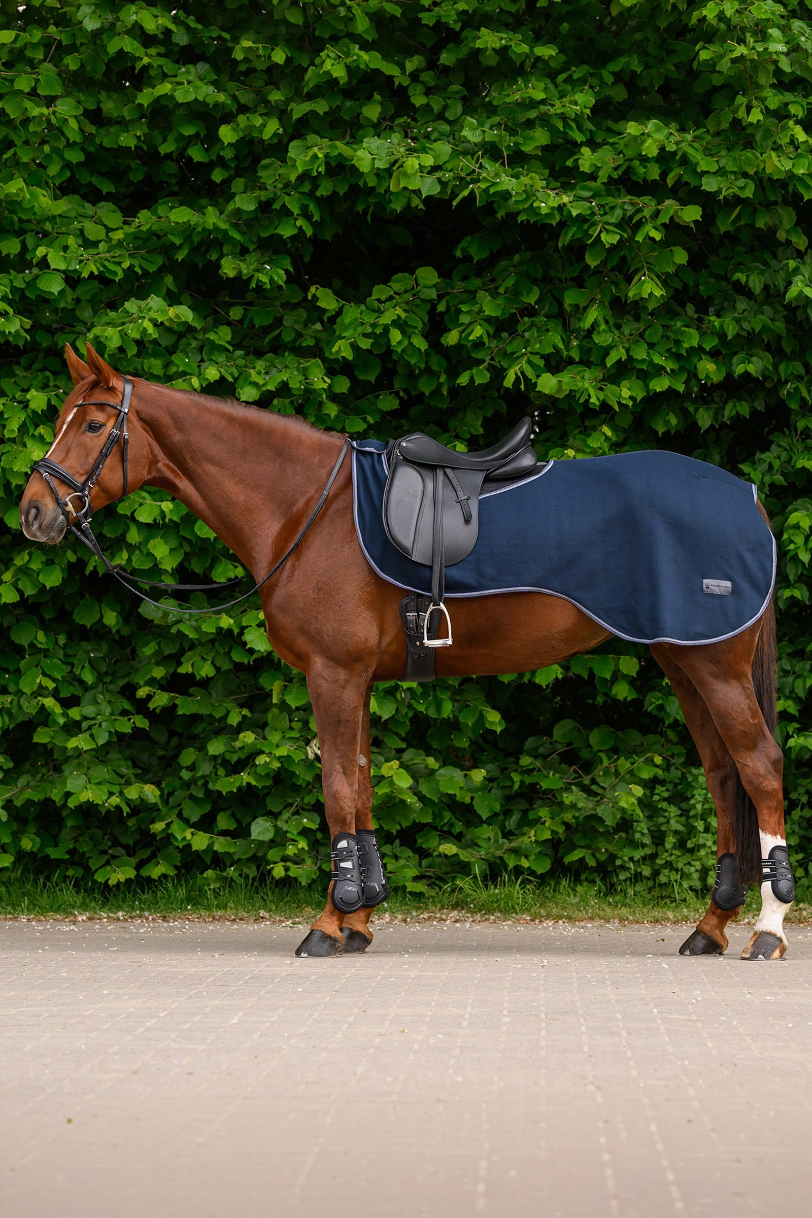 Waldhausen ECONOMIC Fleece Ausreitdecke Pferdedecken