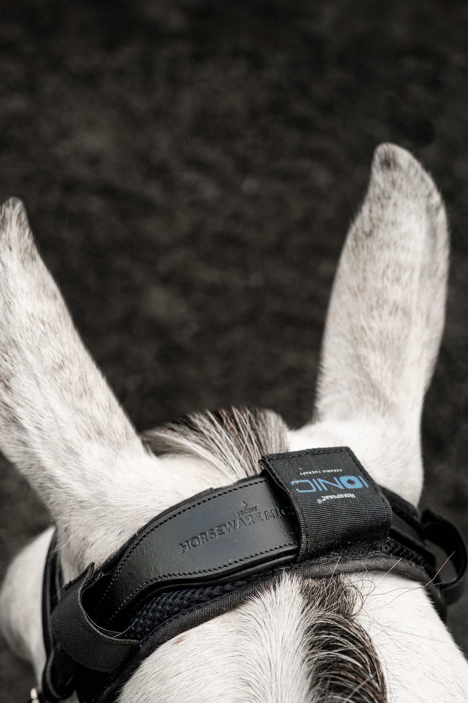 Horseware Ionic Genickschoner Fliegenschutz