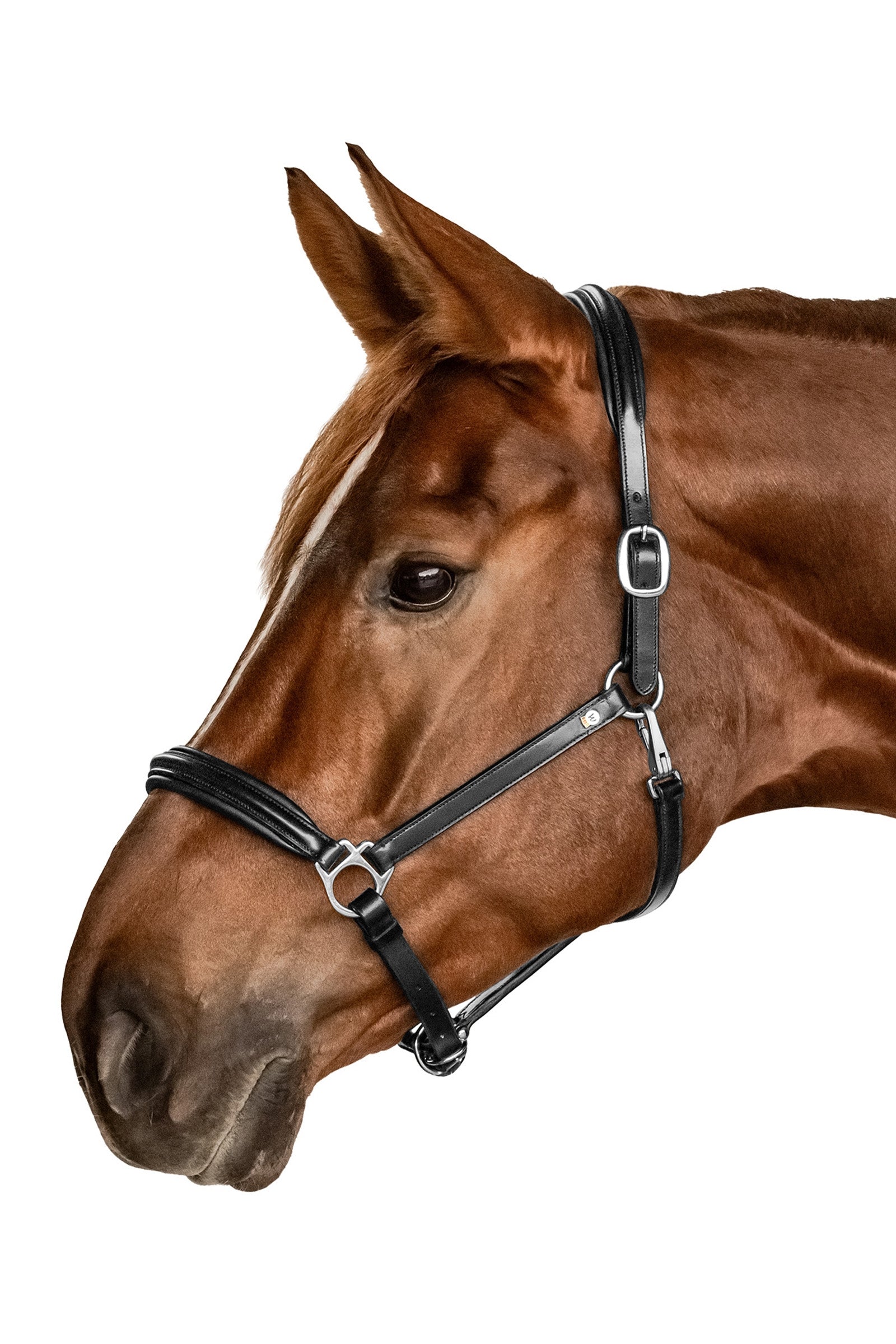Waldhausen Classy S-Line Halter Halters & Leads