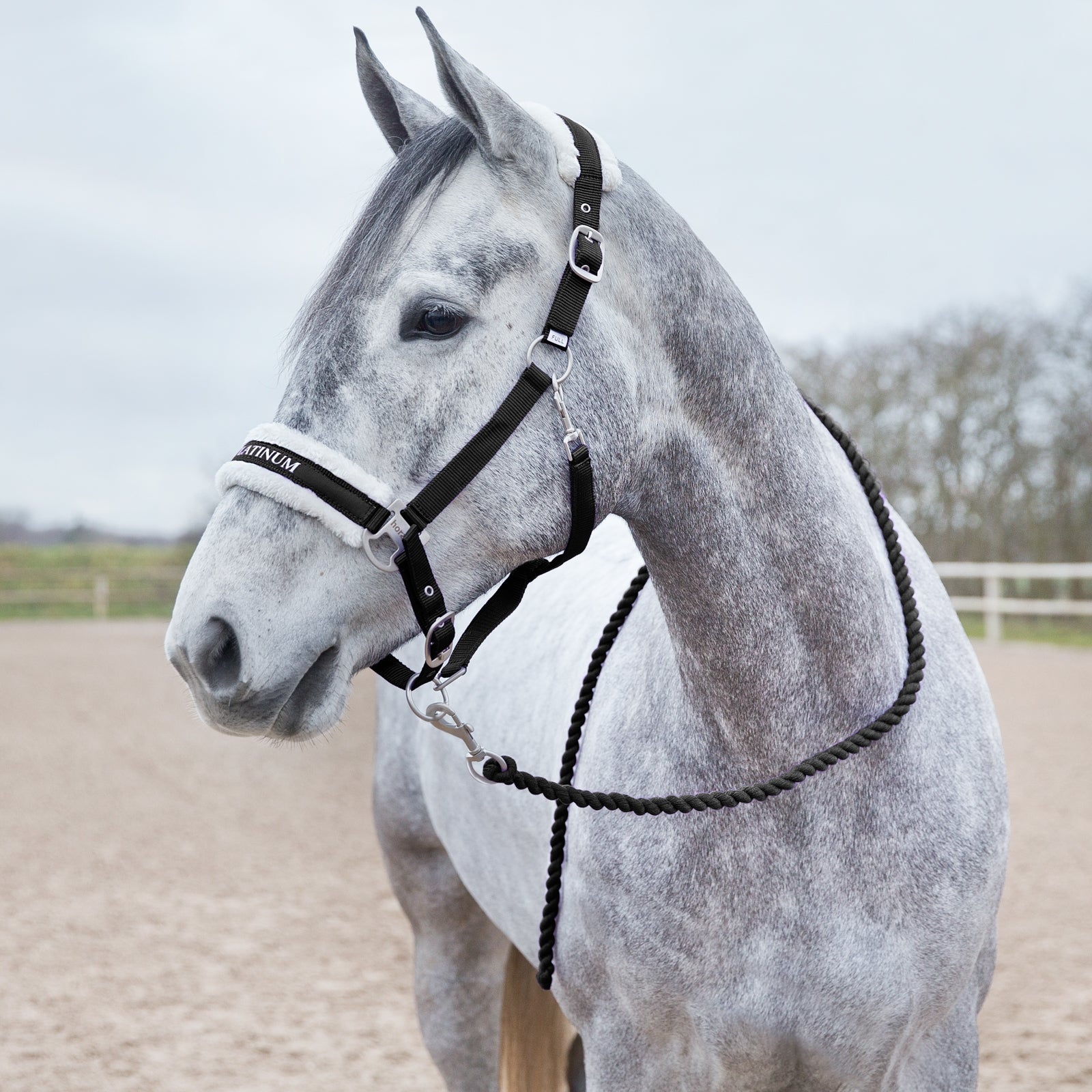 Horze Howard Soft Lead Halters & Leads