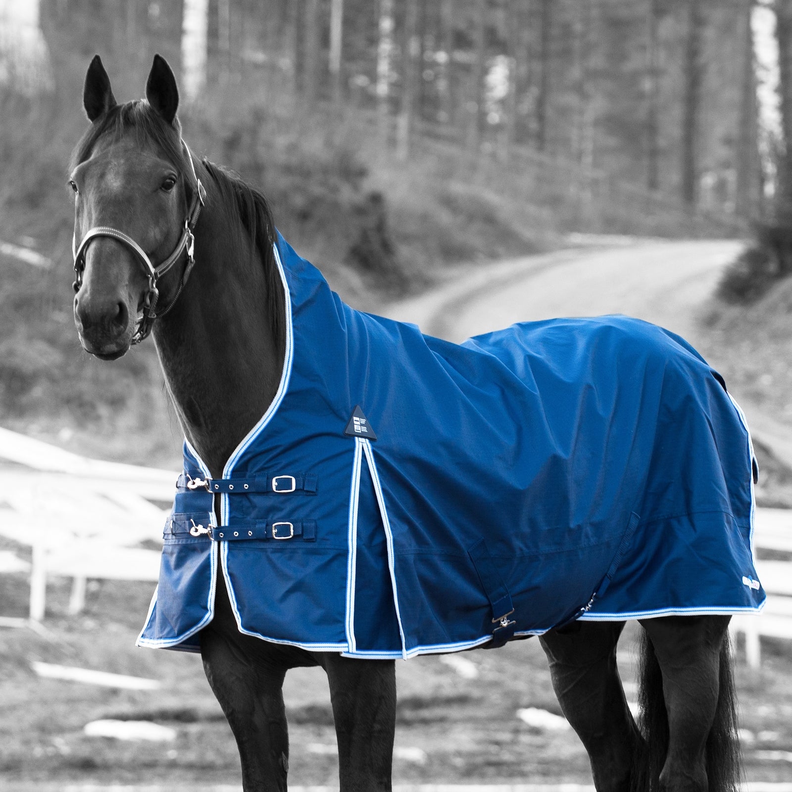 Finntack Pro Alaska Regendecke mit hohem Hals Pferdedecken