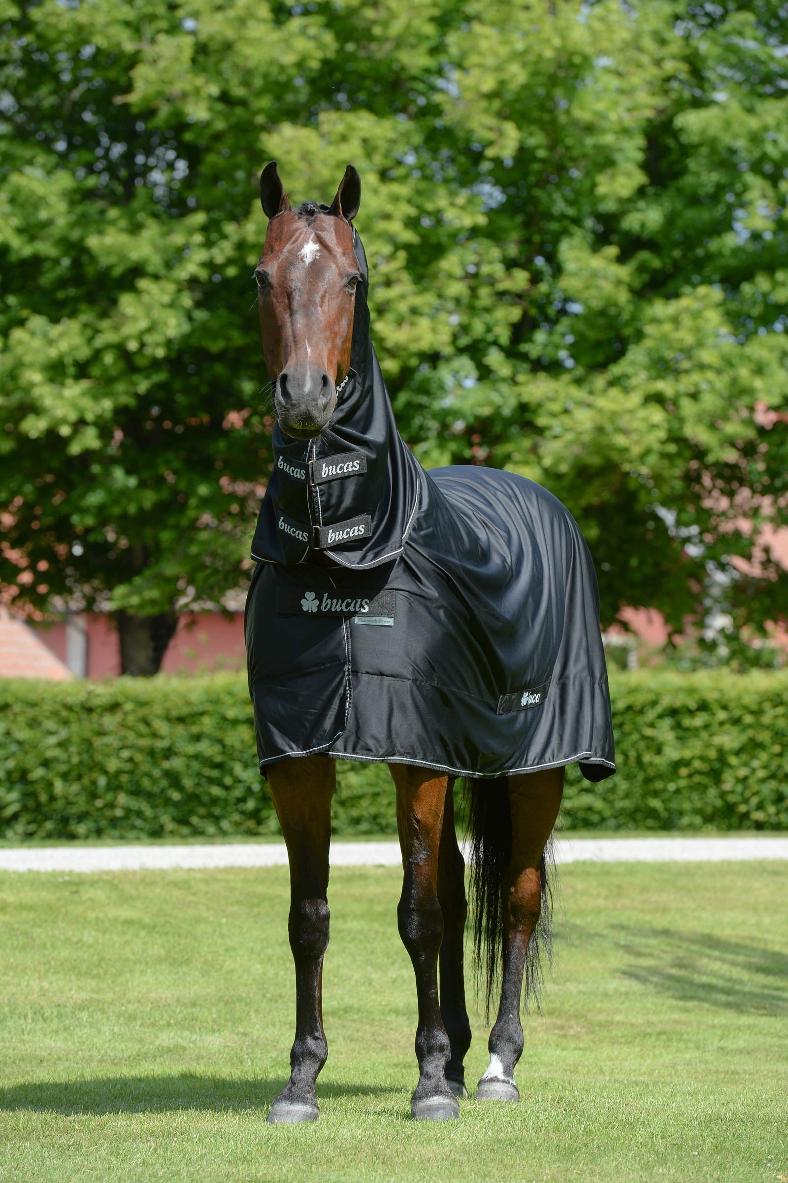 Bucas Shamrock Power Decke mit Halsteil Pferdedecken