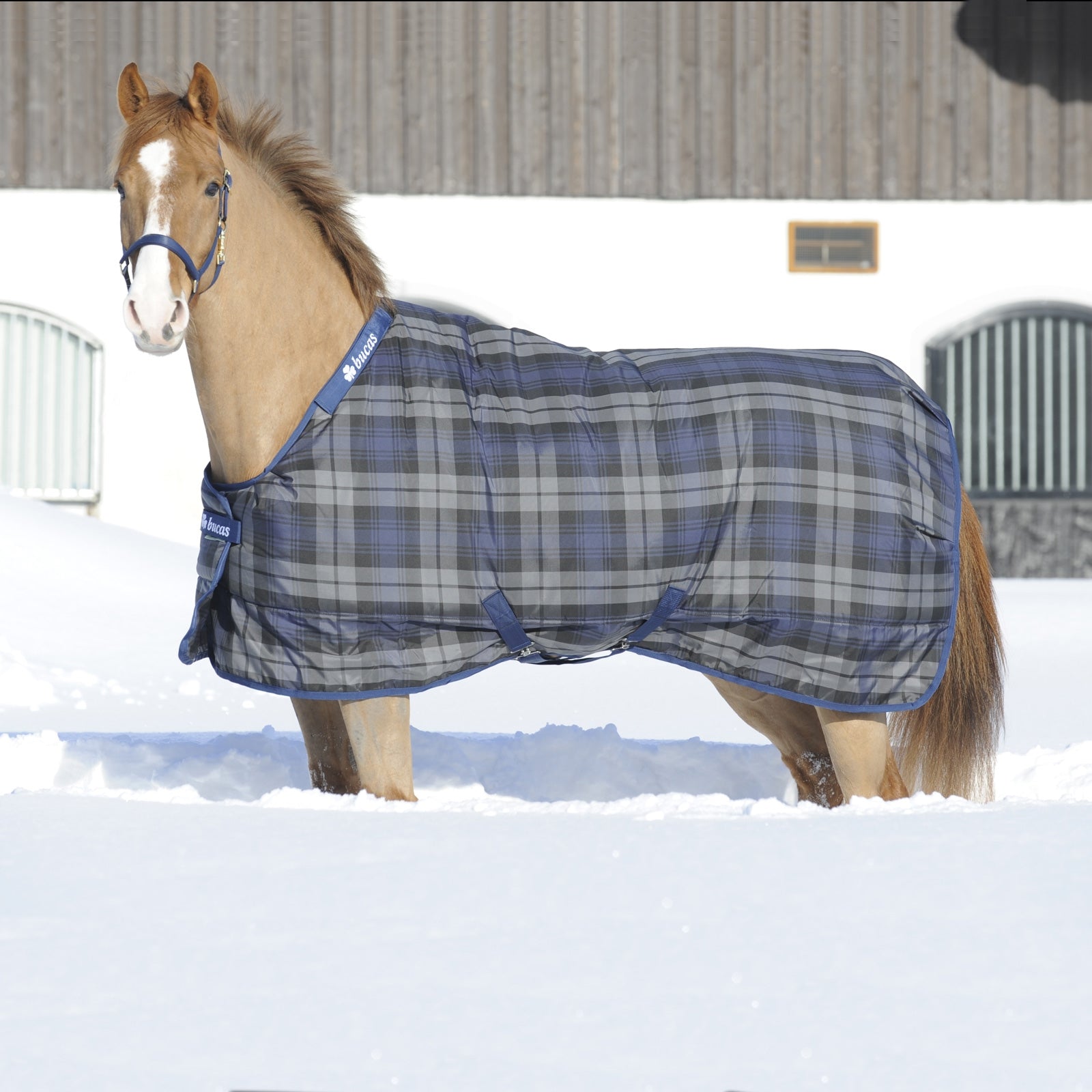 Bucas Celtic Stalldecke, Light Pferdedecken