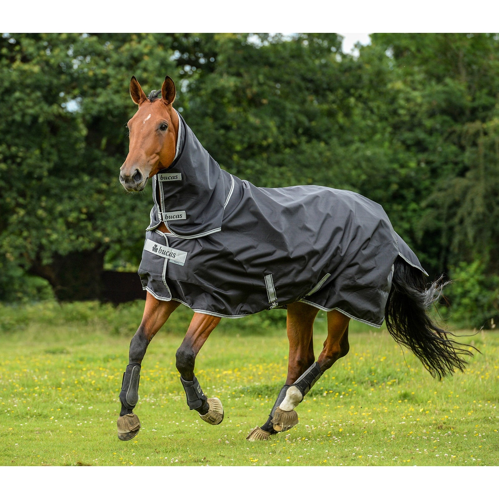 Bucas Smartex Neck, 0 g Horse Rugs