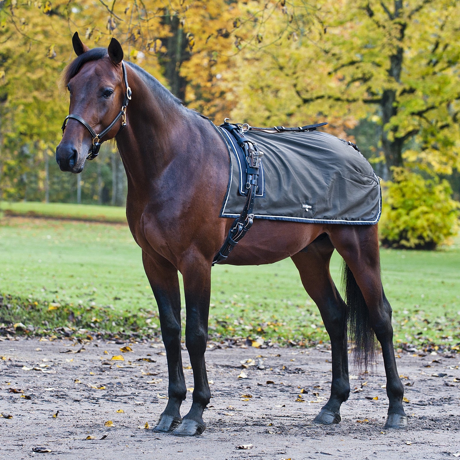 Finntack Pro Endura Quarter Nierendecke Pferdedecken