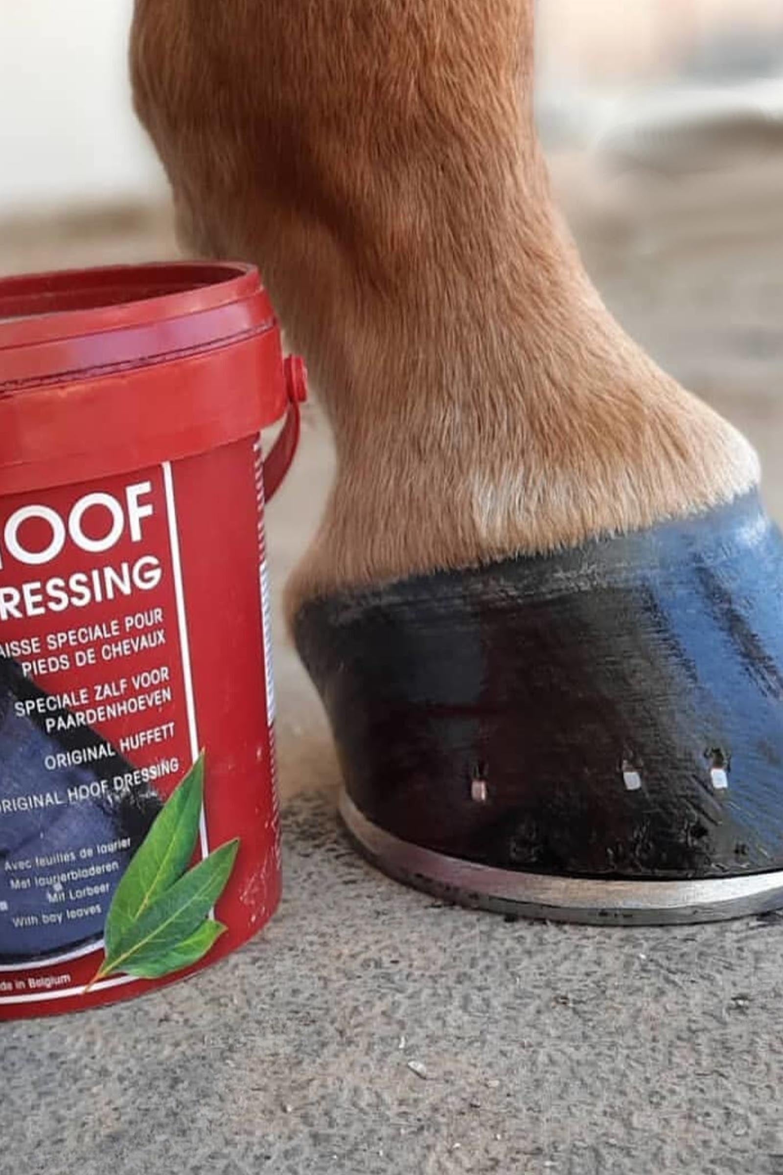 Kevin Bacon´s Kevin Bacon's Hoof Dressing Original, 1000 ml Horse Health Care