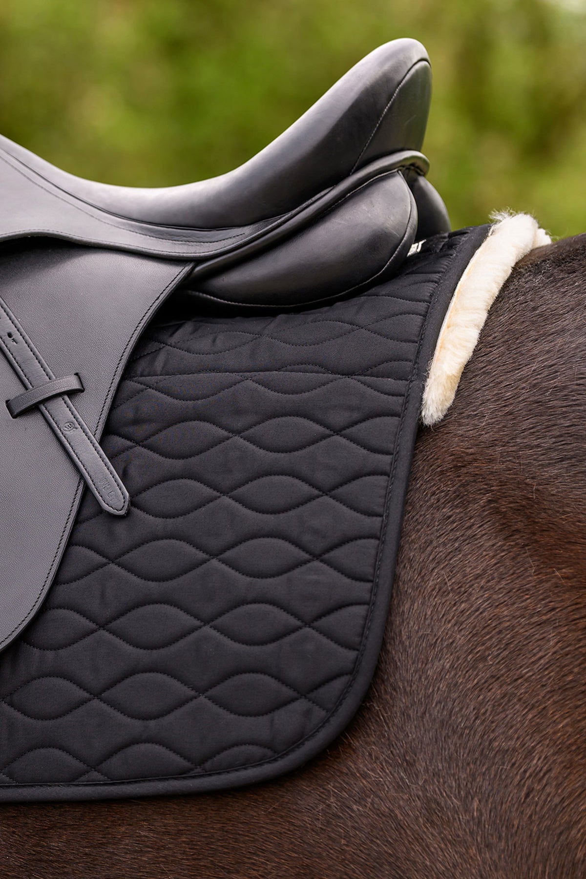 Waldhausen Milan AP Saddle Pad With Lambskin Saddle Pads