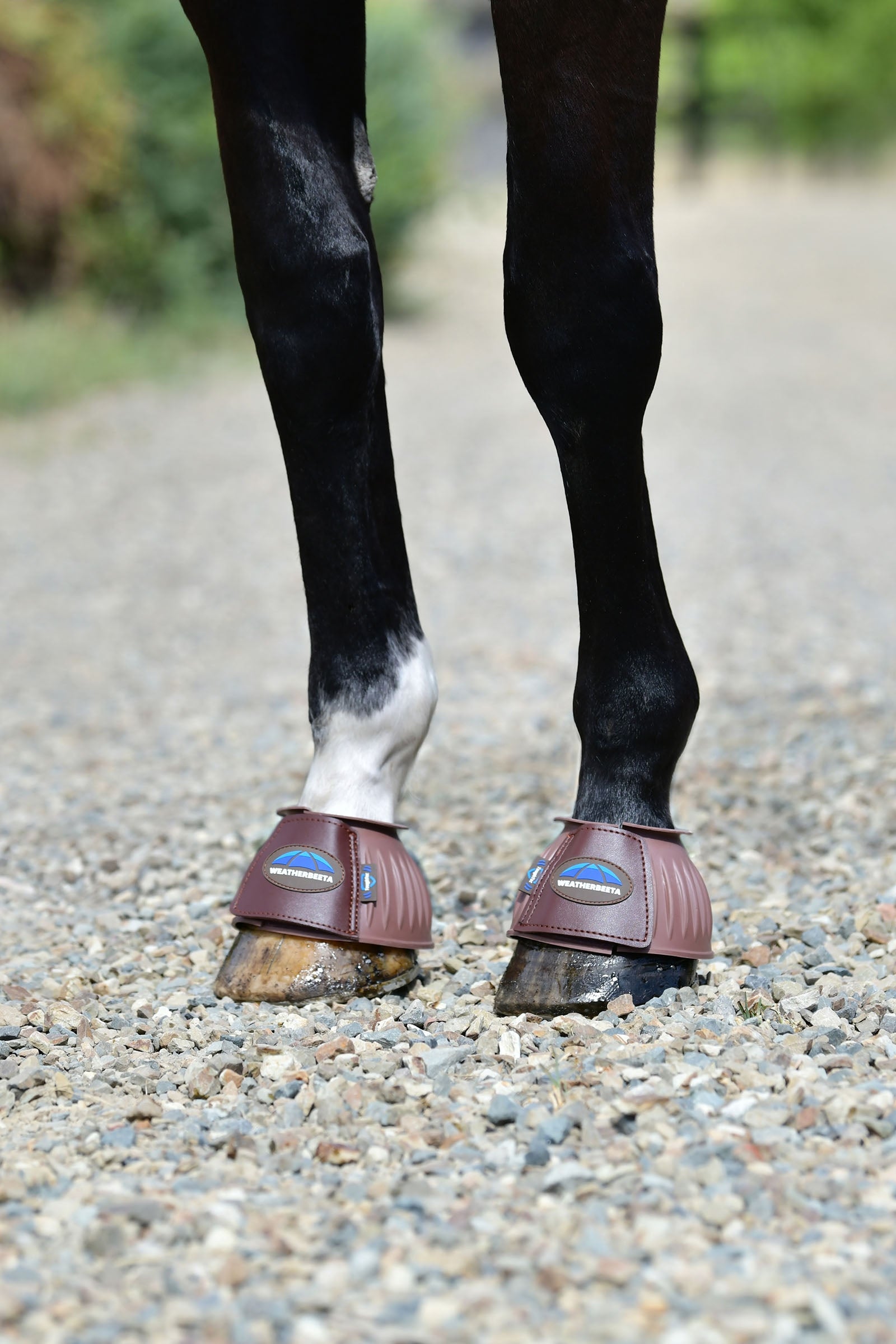 Weatherbeeta Tough-Tec Prime Rubber Bell Boots Leg & Hoof Protection