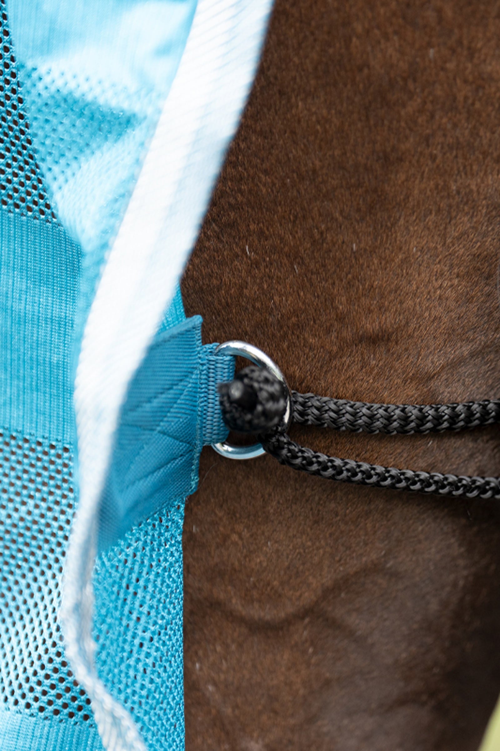 Kavalkade Stripe Fly Rug Horse Rugs