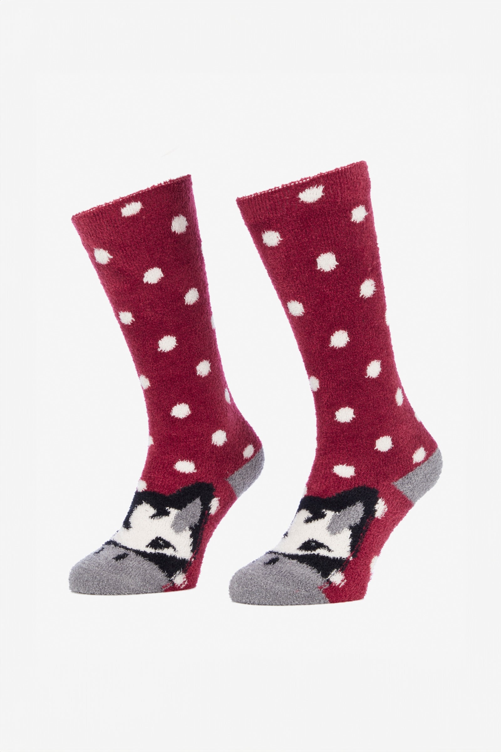 LeMieux Mini Character Socken (2er Pack) Kniestrümpfe & Reitsocken