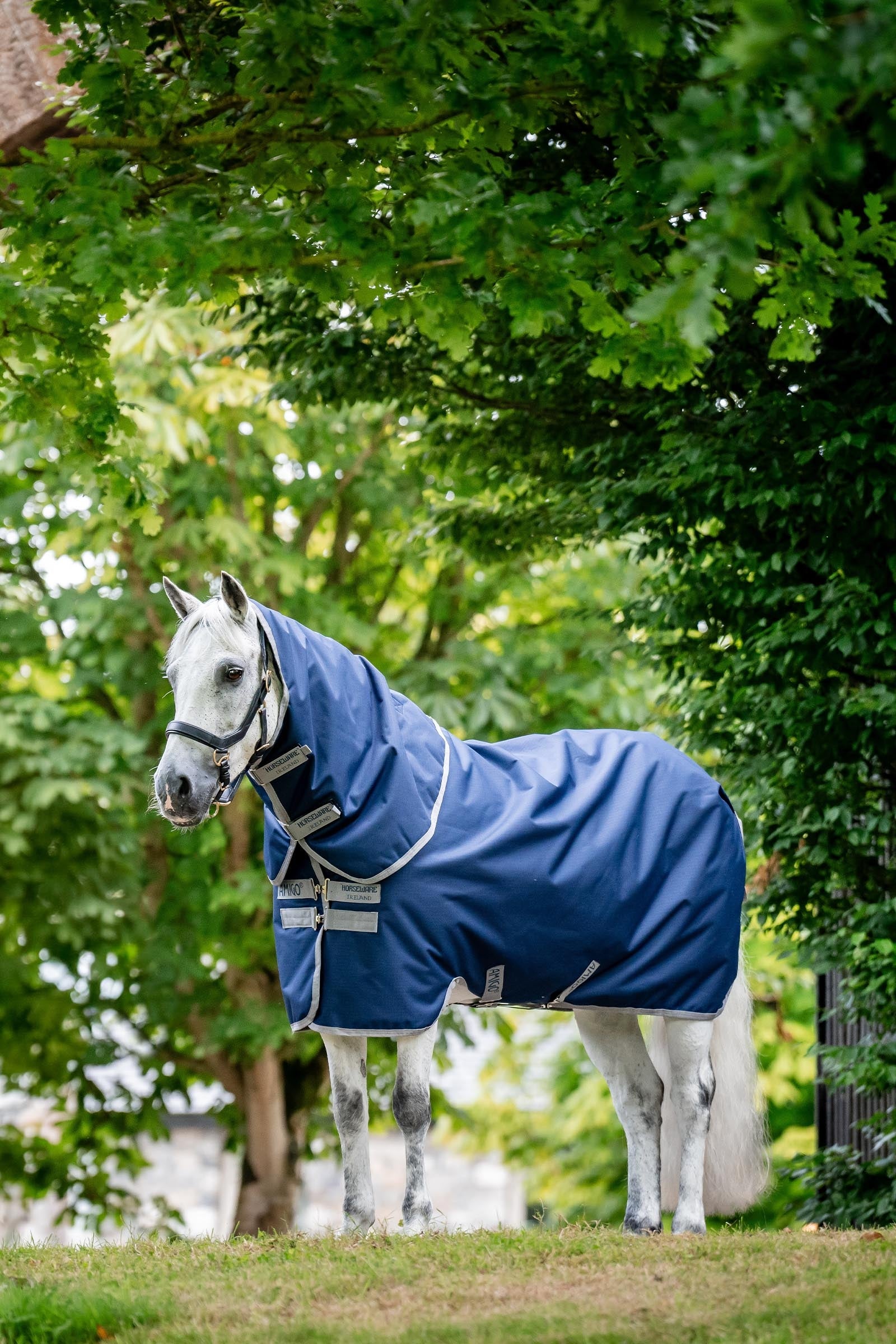 Horseware Amigo Ripstop 900D Plus Turnout Rug With Detachable Neck, 0 g Horse Rugs