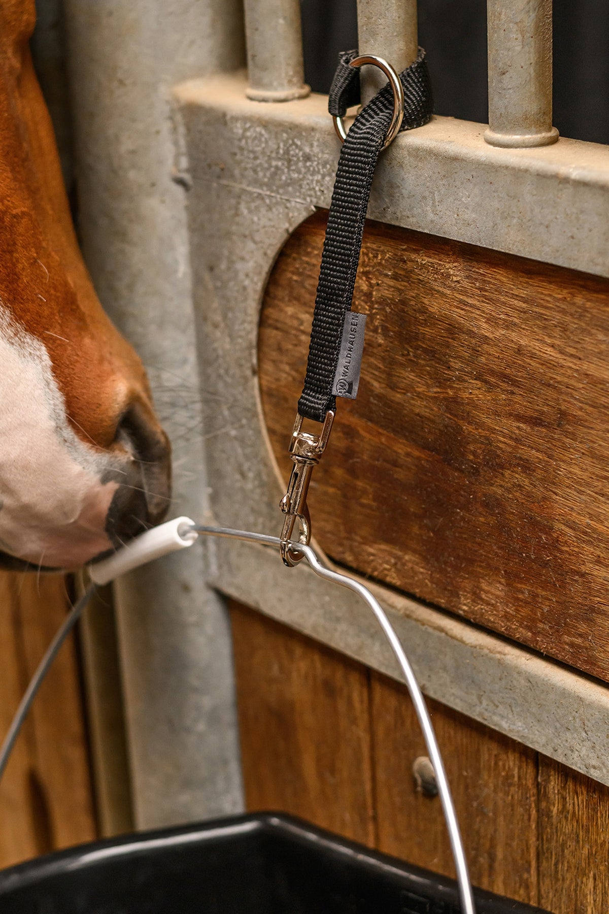Waldhausen Functional Holder For Buckets, Salt Lick Stones & Horse Toys Stable Equipment