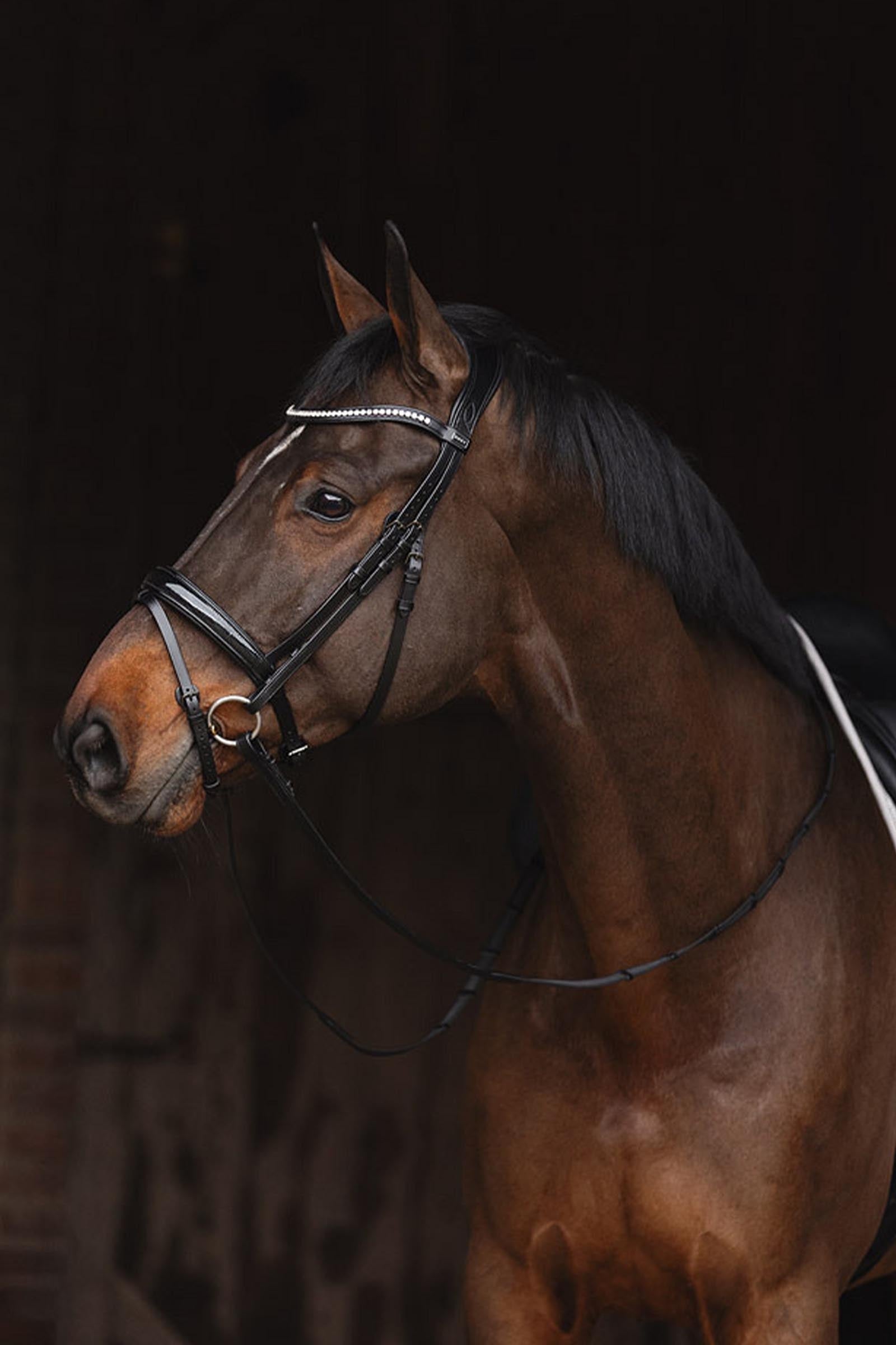 Anky ANKY Bridle Metallic Patent Leather Bridles & Reins