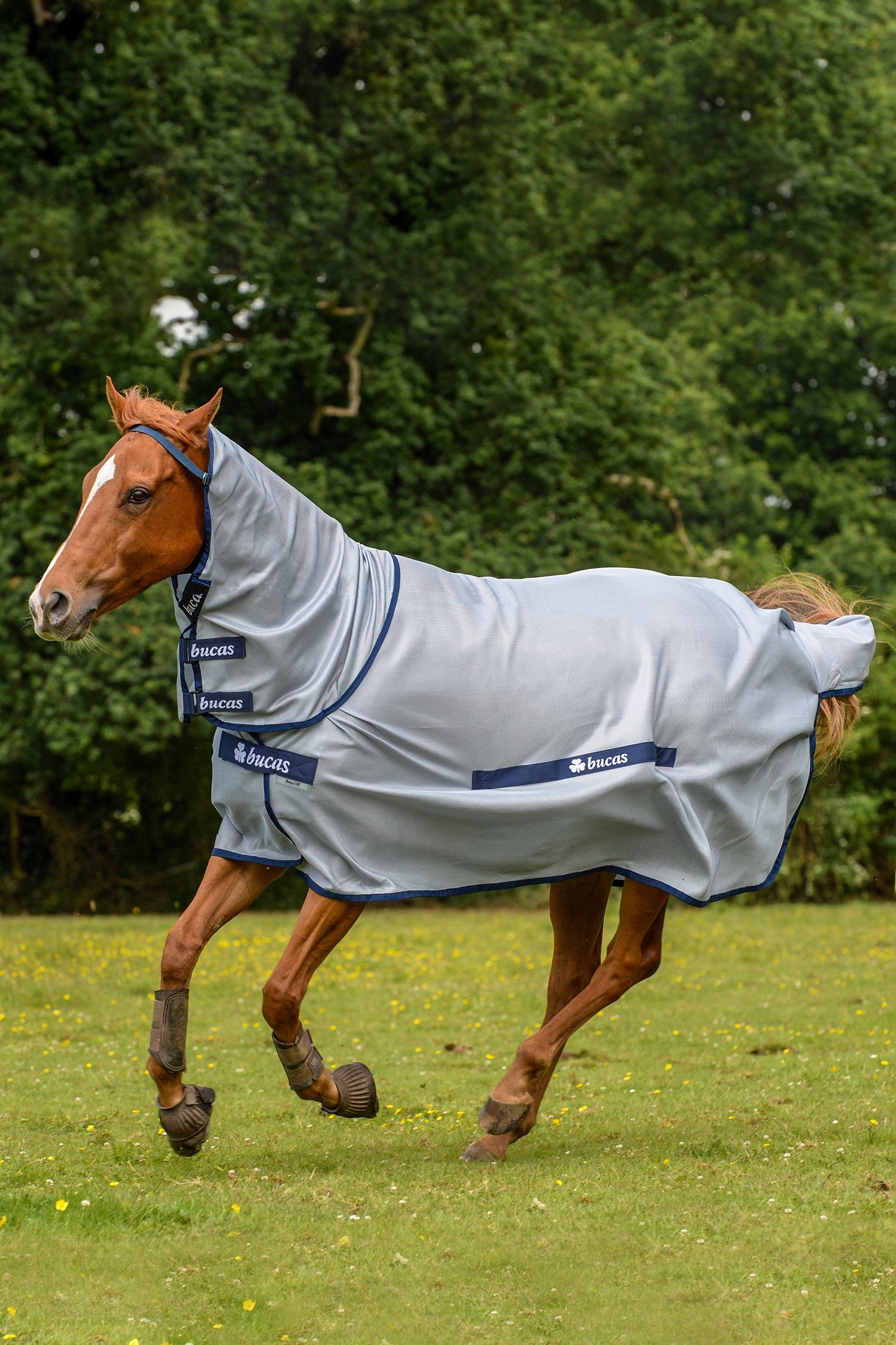 Bucas Buzz-Off Full Neck Fliegendecke Pony mit festem Halsteil Pferdedecken