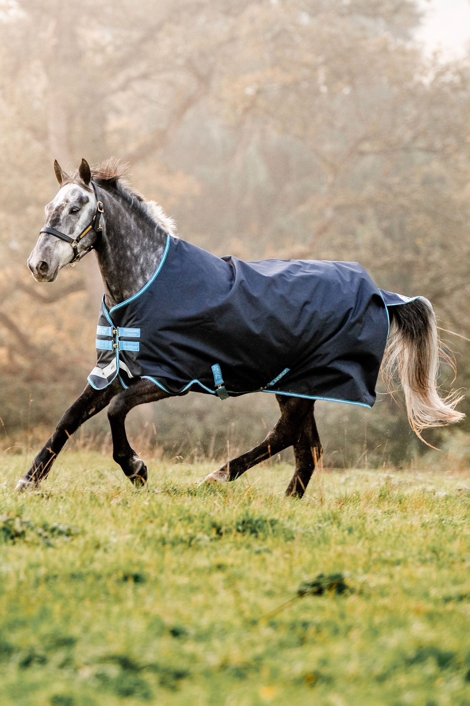 Horseware Amigo Bravo 12 Weidedecke, 100g Pferdedecken