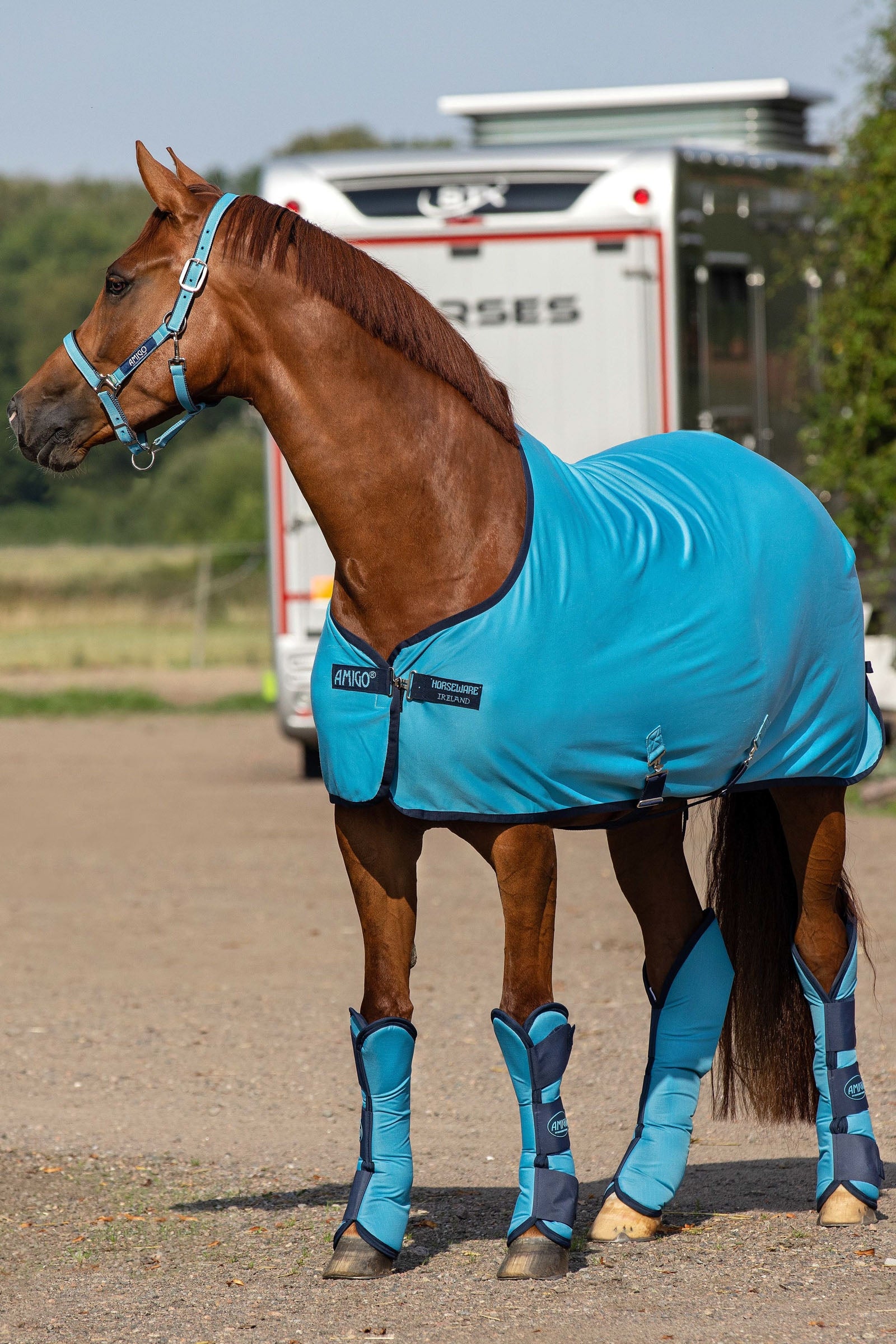 Horseware Amigo Jersey Cooler Abschwitzdecke Pferdedecken