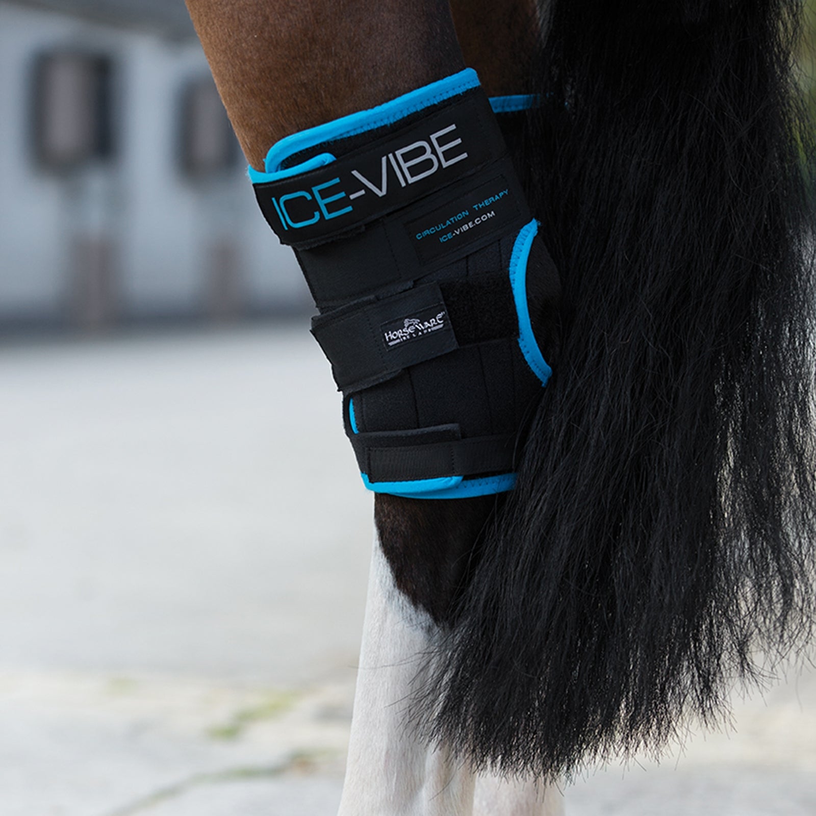 Horseware Ice-Vibe Hock Wrap Leg Protection & Hoof Protection for Horses