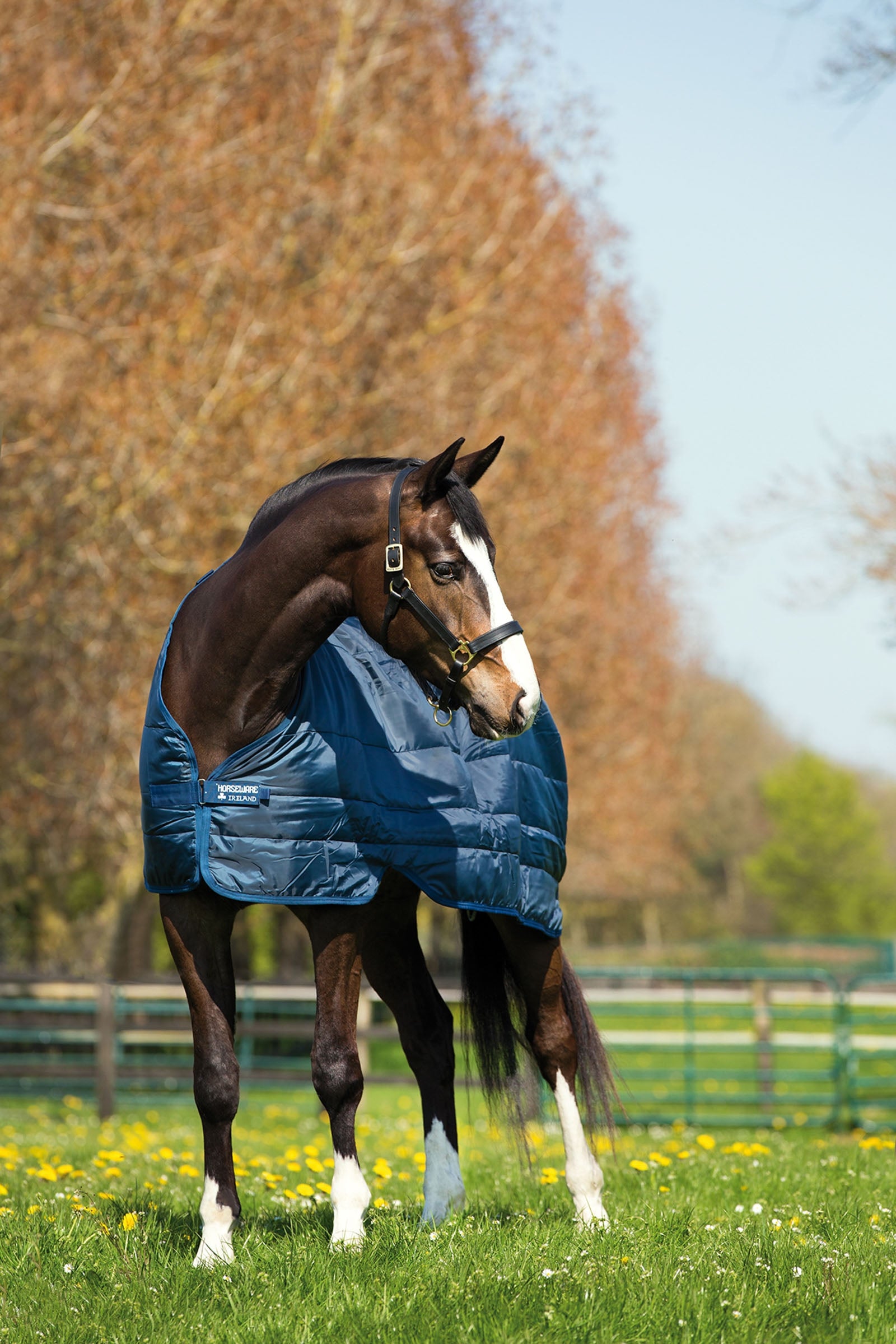 Horseware Liner Unterdecke, 200 g Pferdedecken