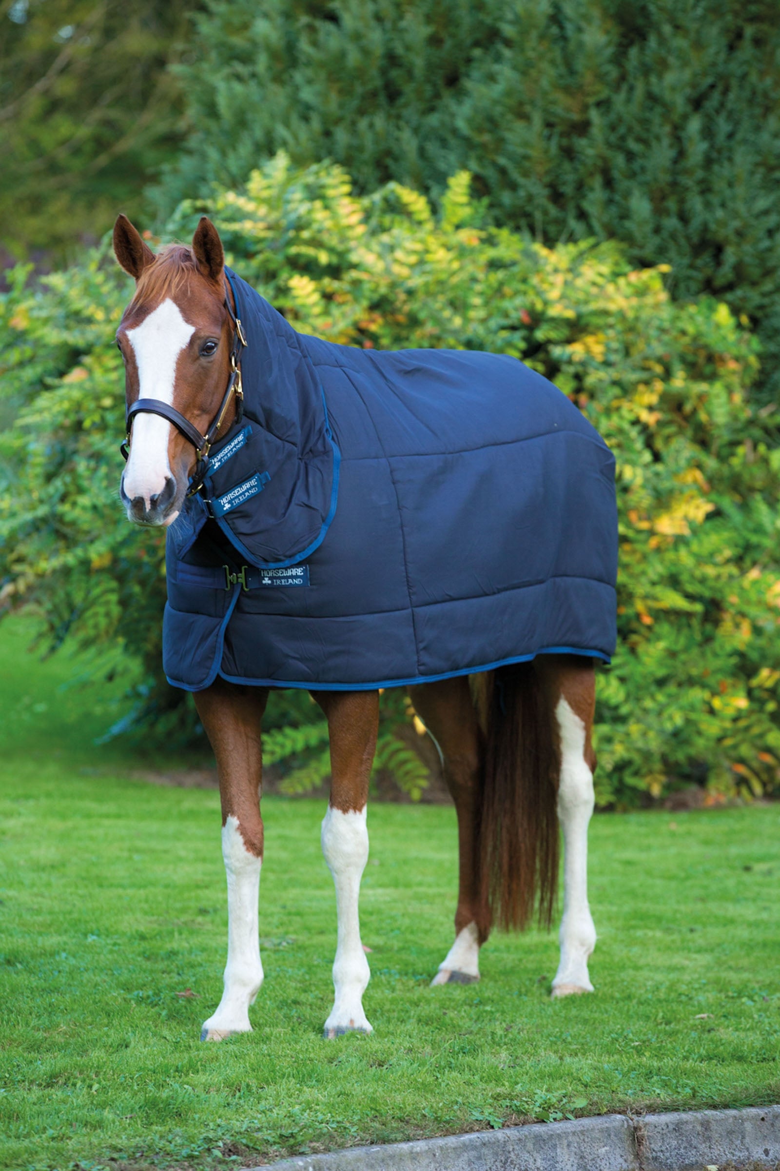 Horseware Plus Unterdecke mit festem Halsteil, 300g Pferdedecken