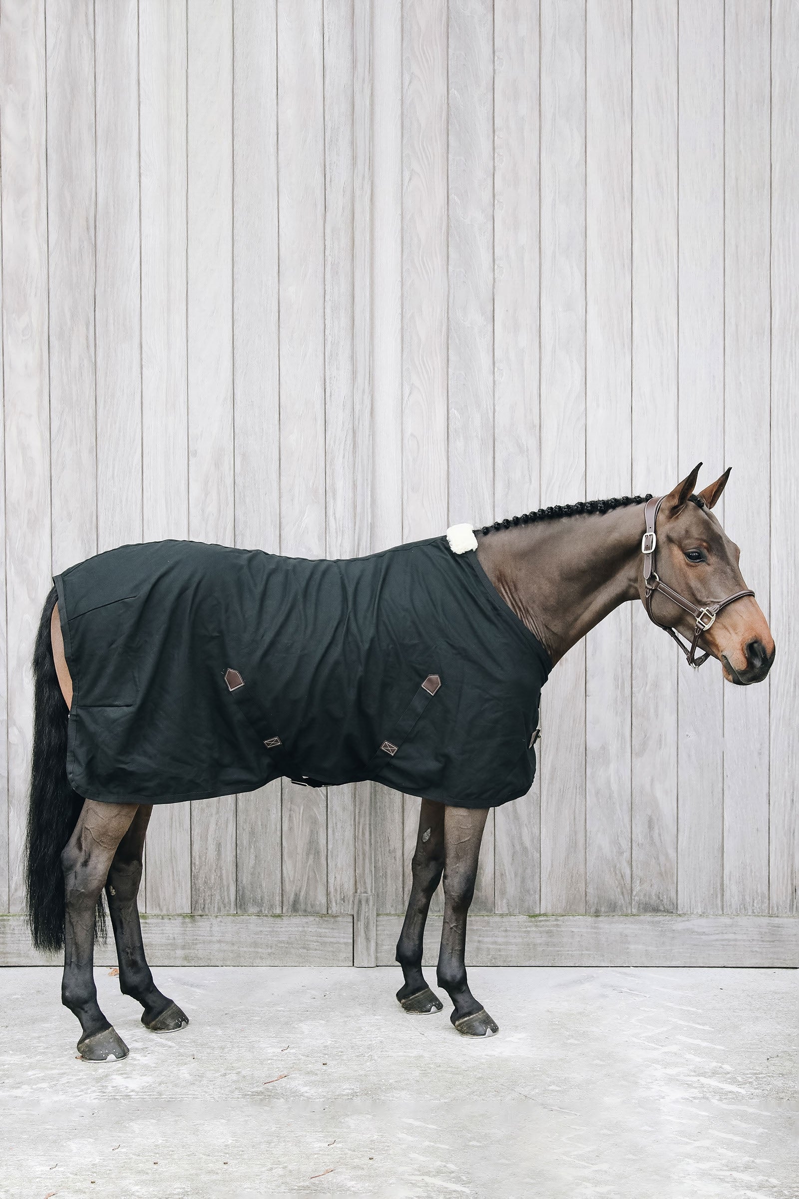Kentucky Horsewear Baumwoll Abschwitzdecke Pferdedecken