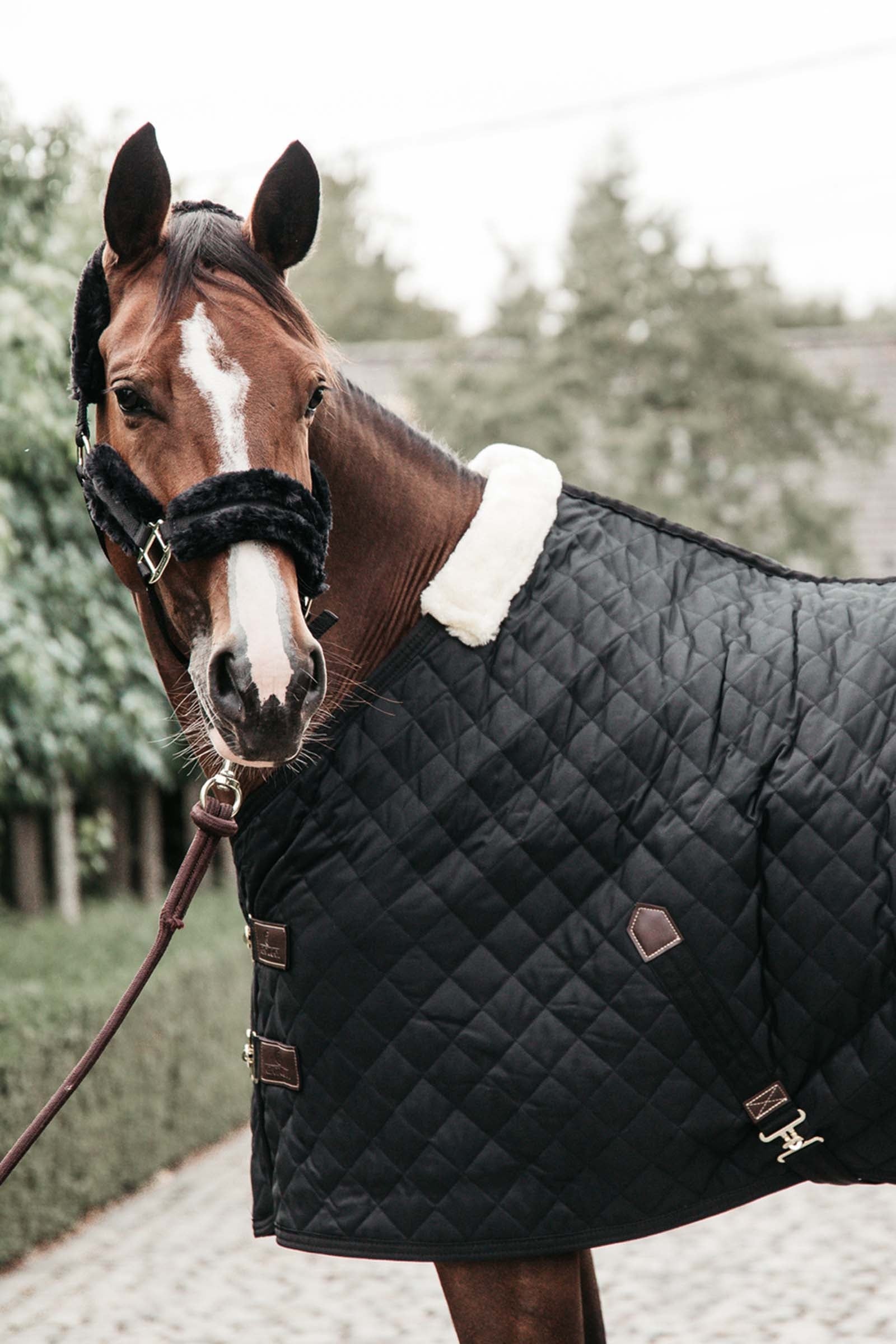 Kentucky Horsewear Stable Rug, 400g Horse Rugs