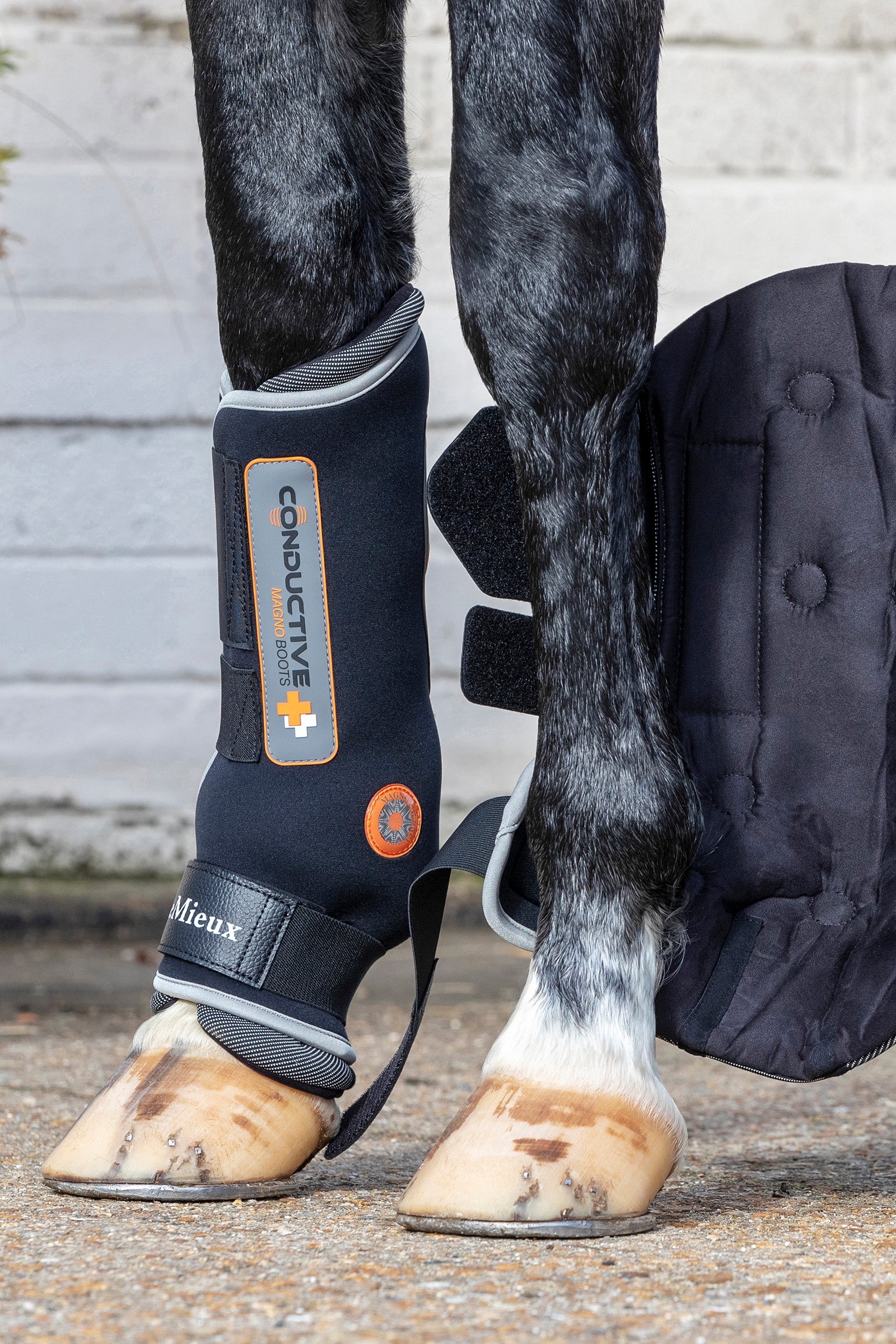 LeMieux Conductive Magno Boots (front / hind) Leg Protection & Hoof Protection for Horses