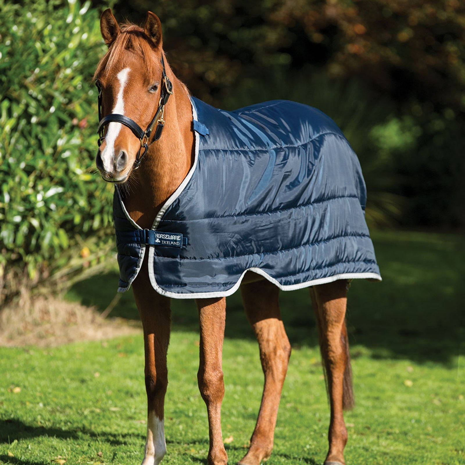 Horseware Pony Unterdecke, 100g Pferdedecken