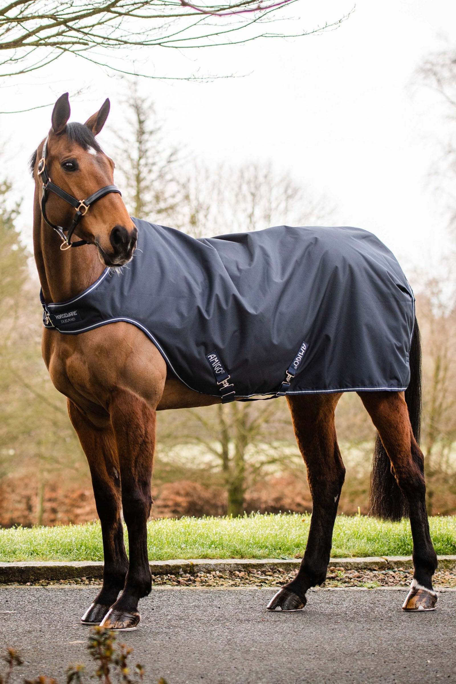 Horseware Amigo Walker Rug, 100g Horse Rugs