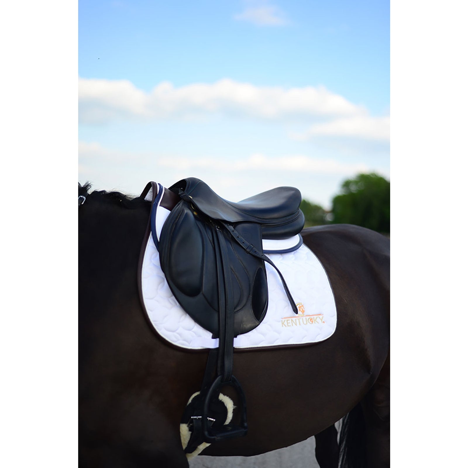 Kentucky Horsewear Saddle Pad Absorb Saddle Pads