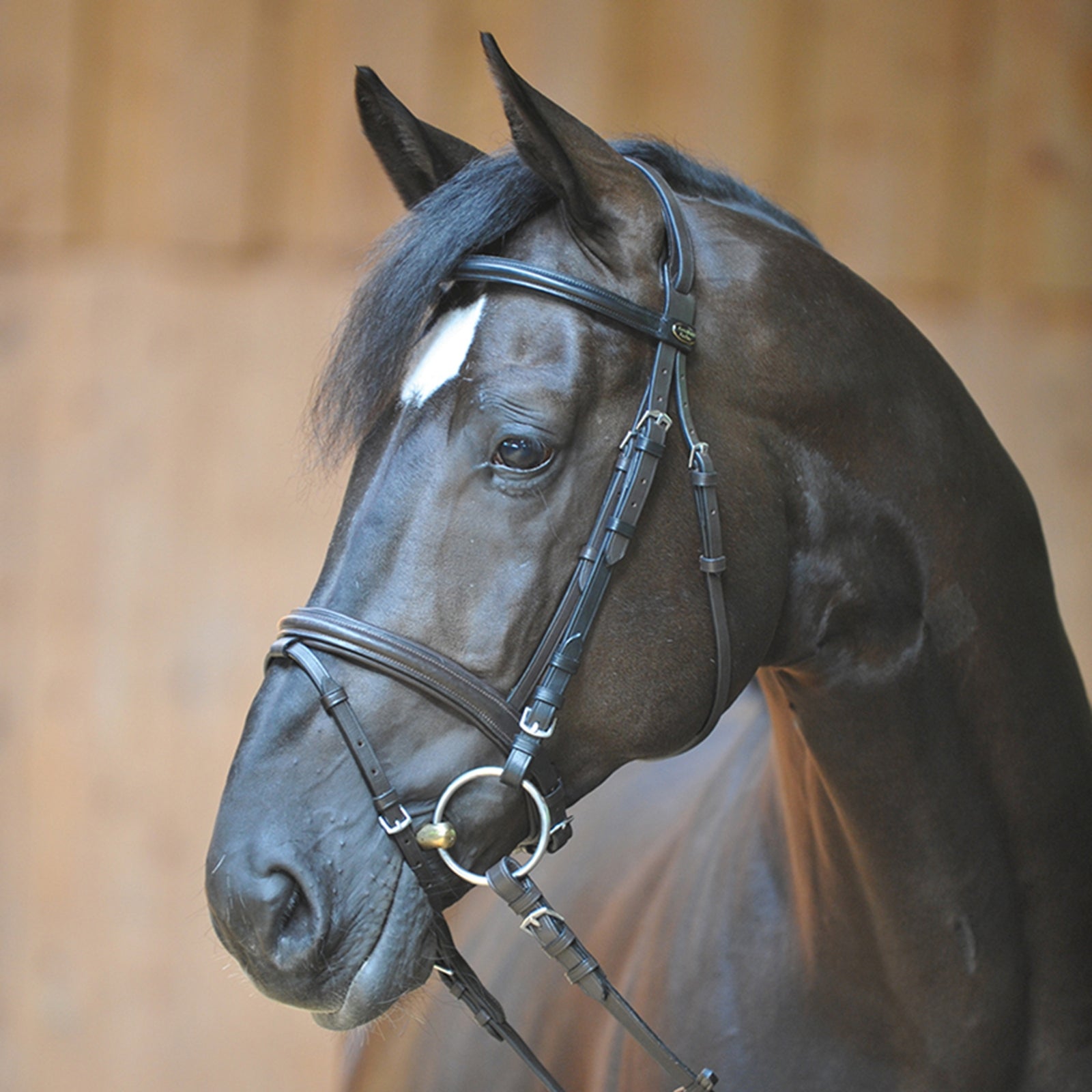 Kavalkade Bridle Quentin Ecoline, flash noseband Bridles & Reins