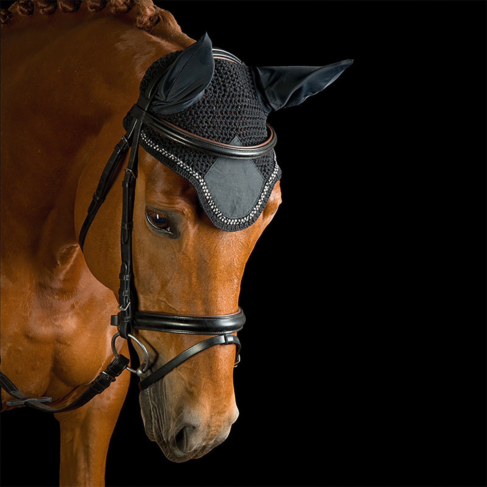 Kavalkade Fliegenhaube mit Strasssteinen Schabracken