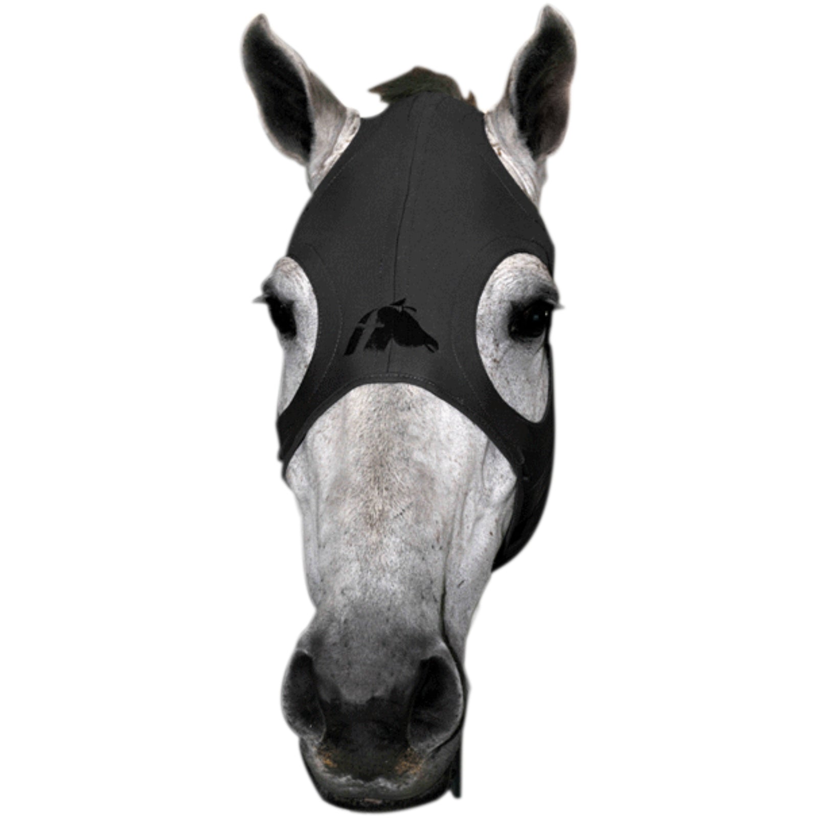 Fenwick Equestrian USA Fenwick Liquid Titanium Maske Fahrsport