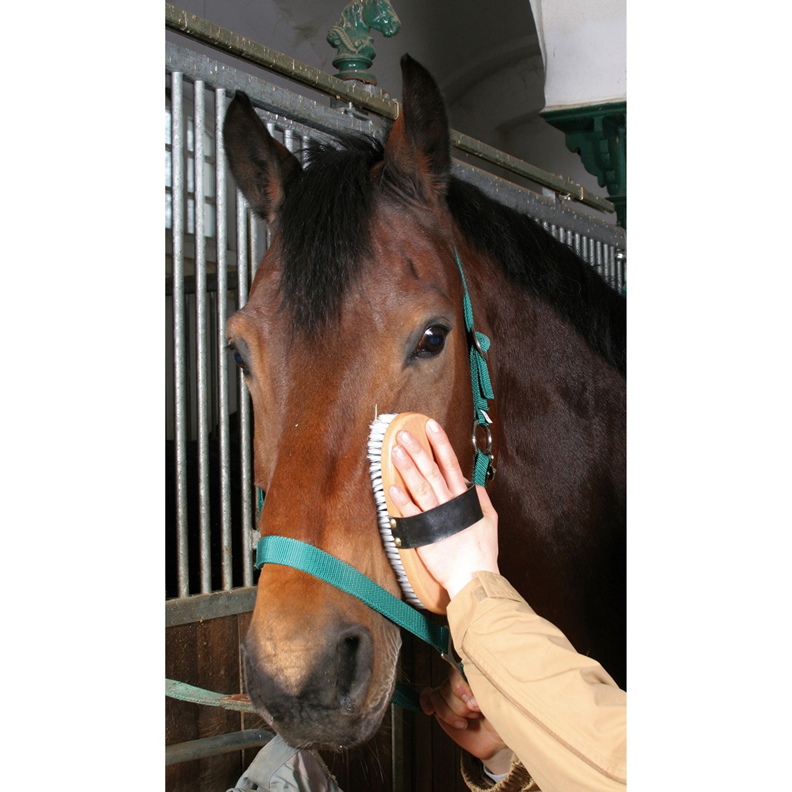 Kerbl Horse brush Brush&Co, wooden back, large Horse Grooming Tools