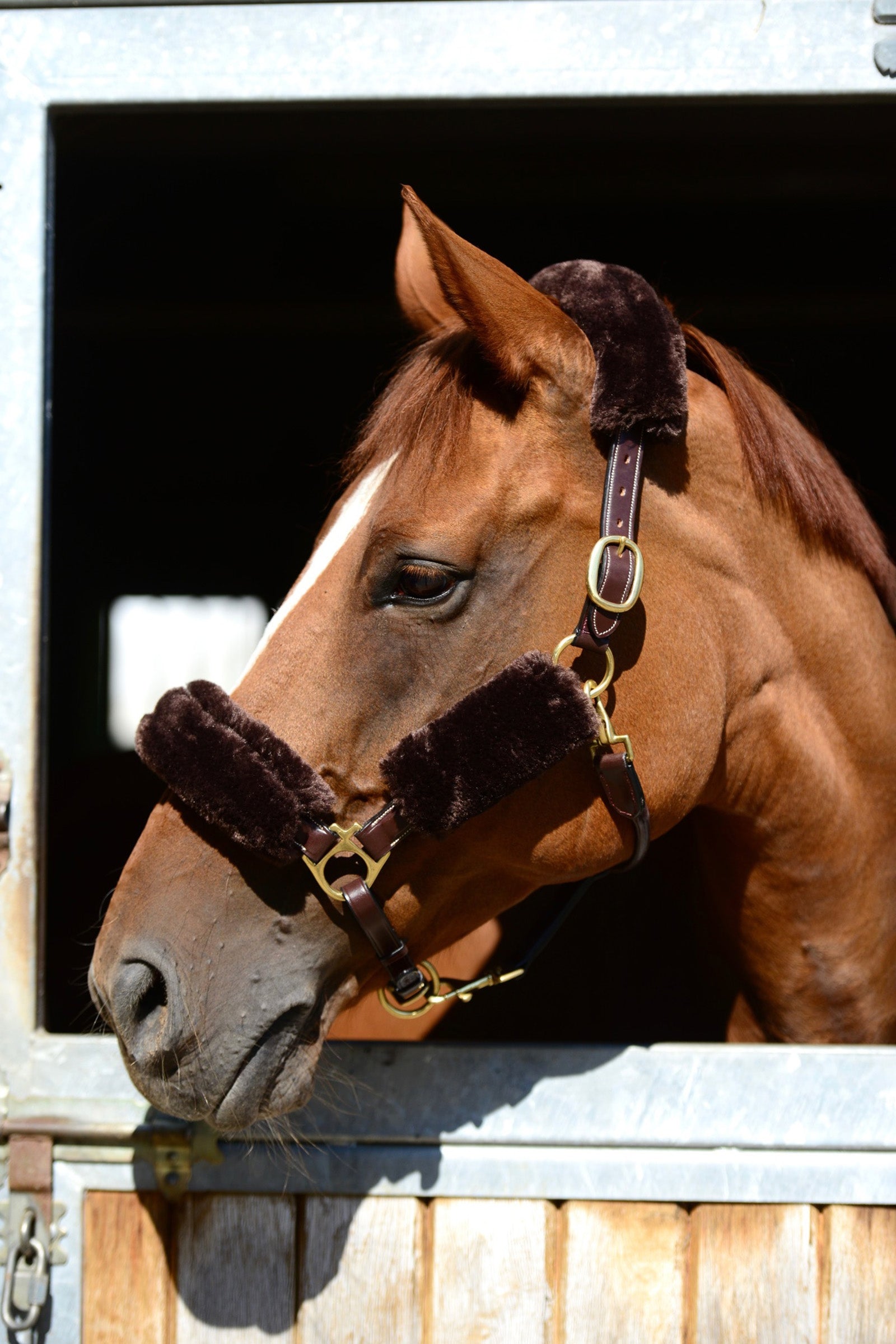 Kentucky Horsewear Sheepskin Halter Set 4 pcs Halters & Leads