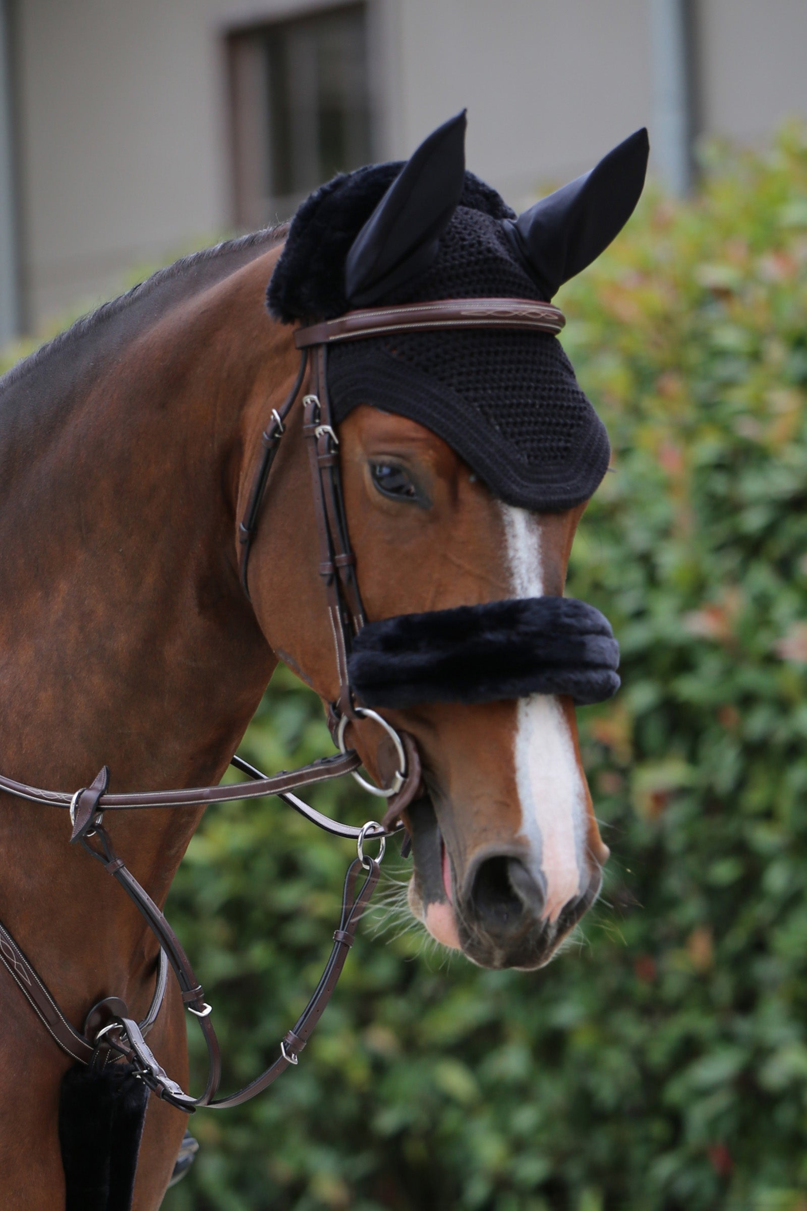 Kentucky Horsewear Lammfell Überzug für den Nasenriemen Trensenzäume & Zügel
