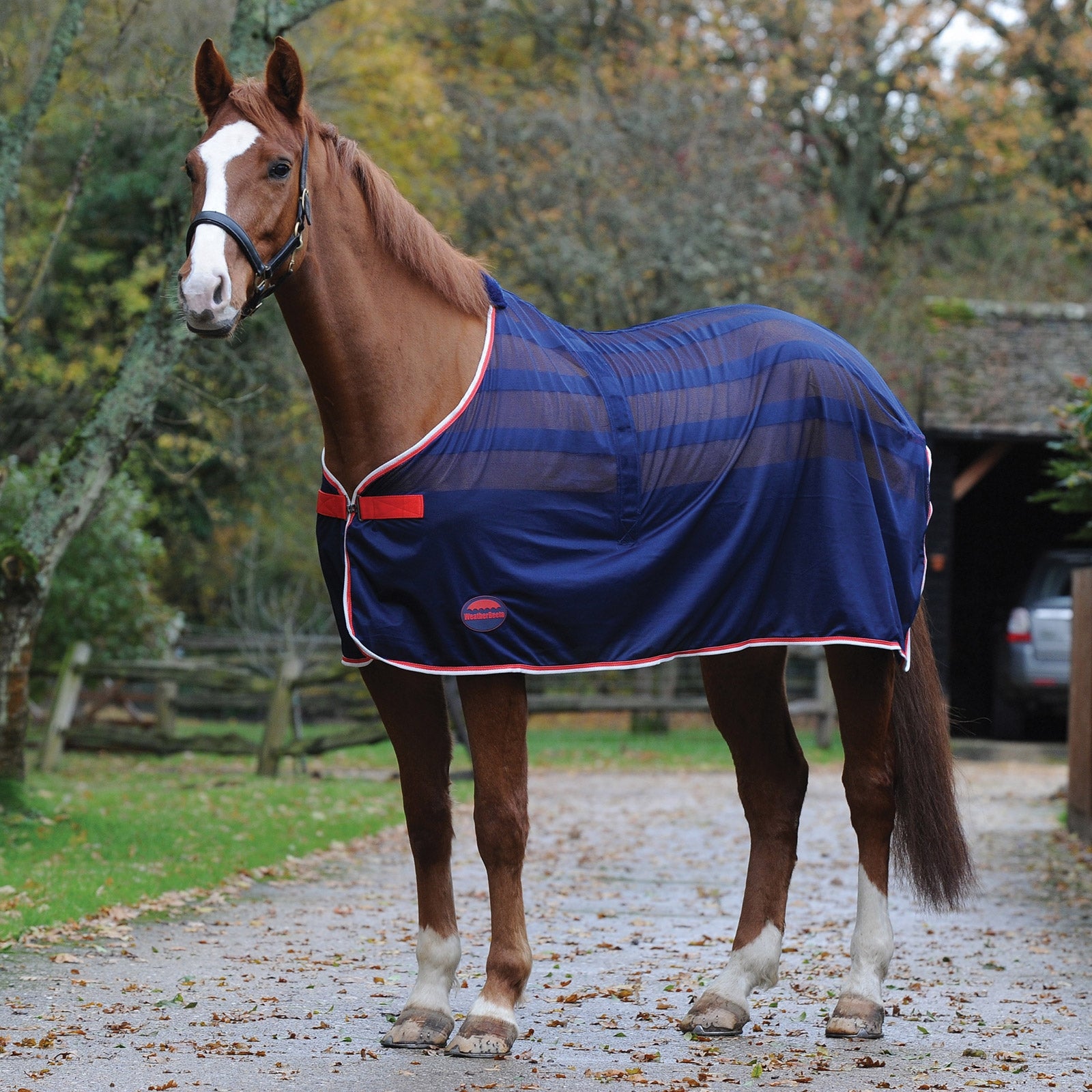 Weatherbeeta Scrim Abschwitzdecke Pferdedecken